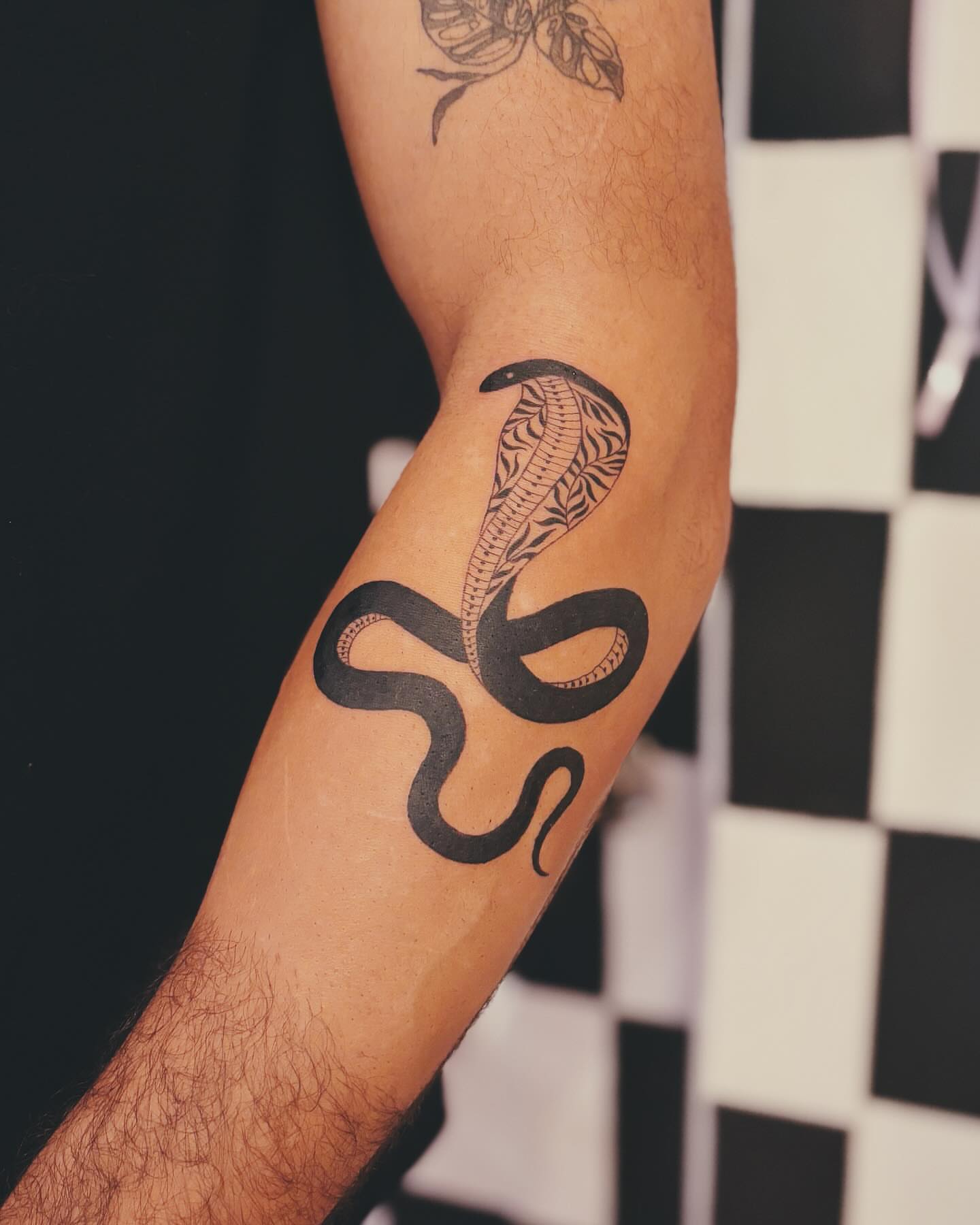 Cobra black and grey tattoo on the forearm by b i l l i e, Seattle, Washington