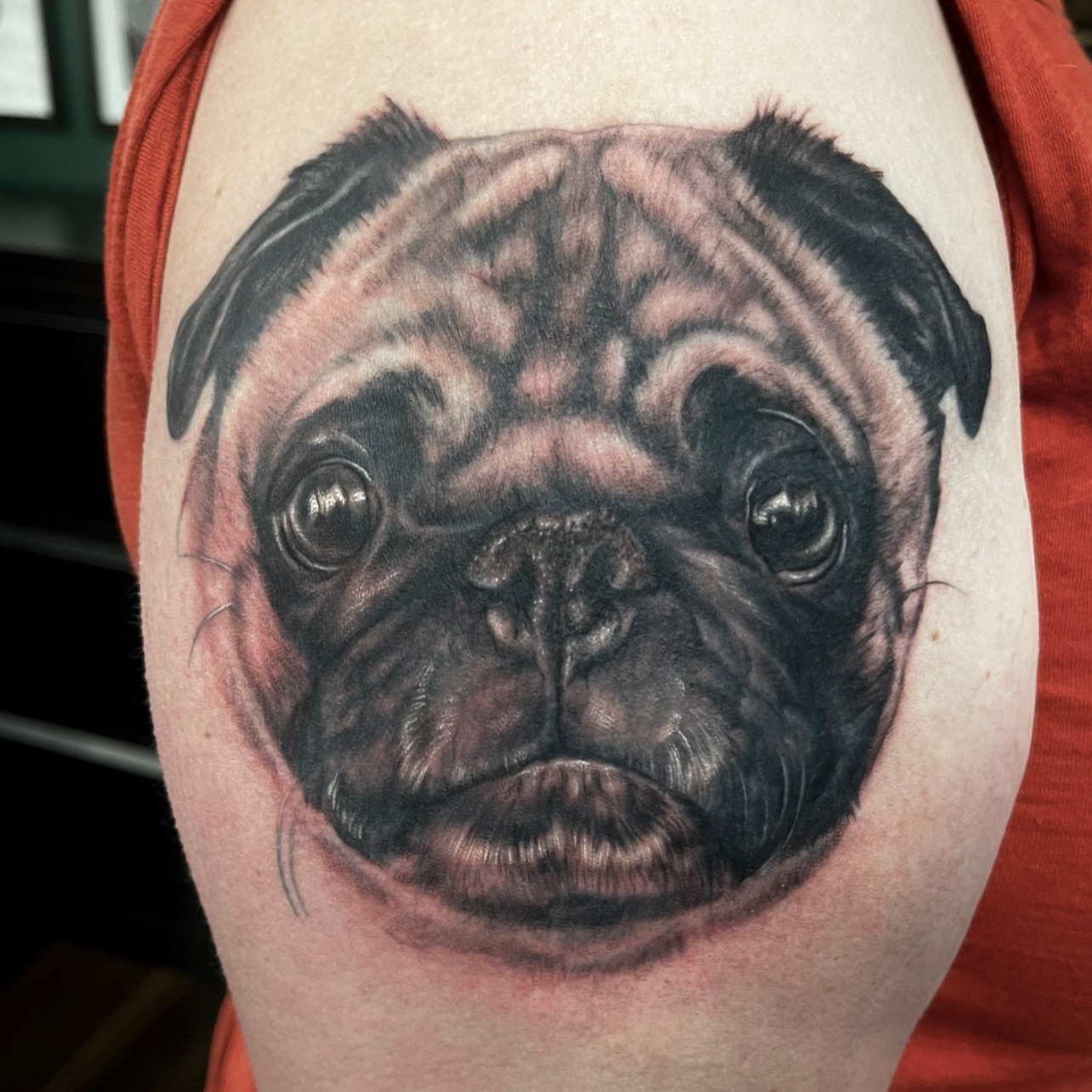 Pug realism tattoo on the thigh by Chelsea Youngblood, Seattle, Washington