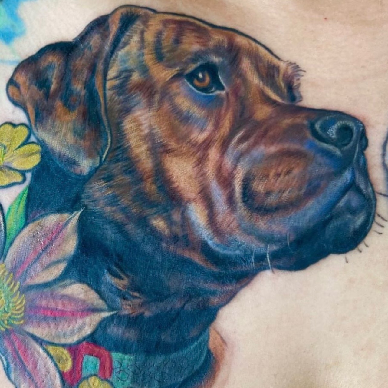 Dog realism tattoo on the chest by Chelsea Youngblood, Seattle, Washington