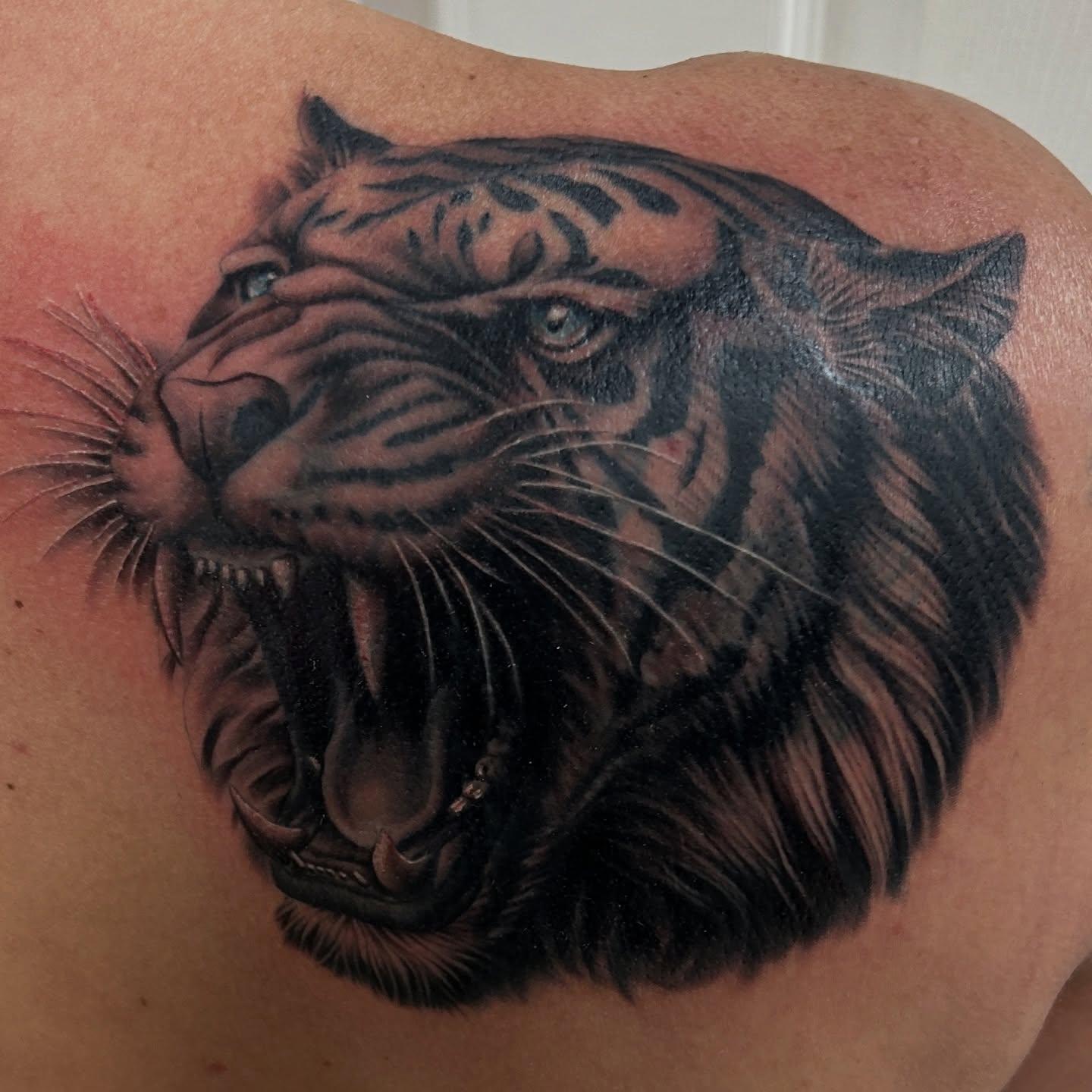 Tiger realism tattoo on the shoulder by Sean OHara