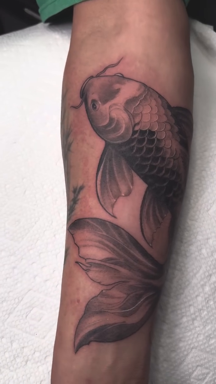 Koi fish japanese irezumi tattoo by ๐ฝ๐๐๐๐๐๐๐ ๐ถ๐๐๐