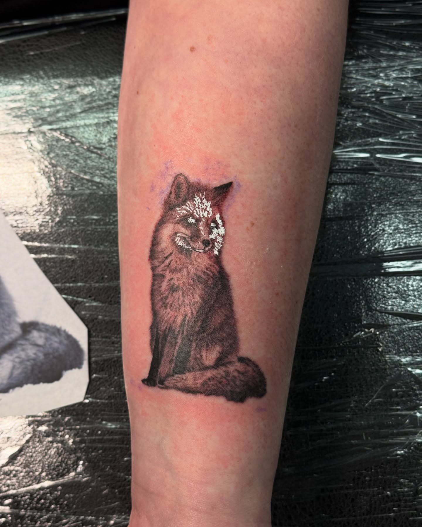 Fox realism tattoo on the forearm by Ohio Realism Tattoo Artist