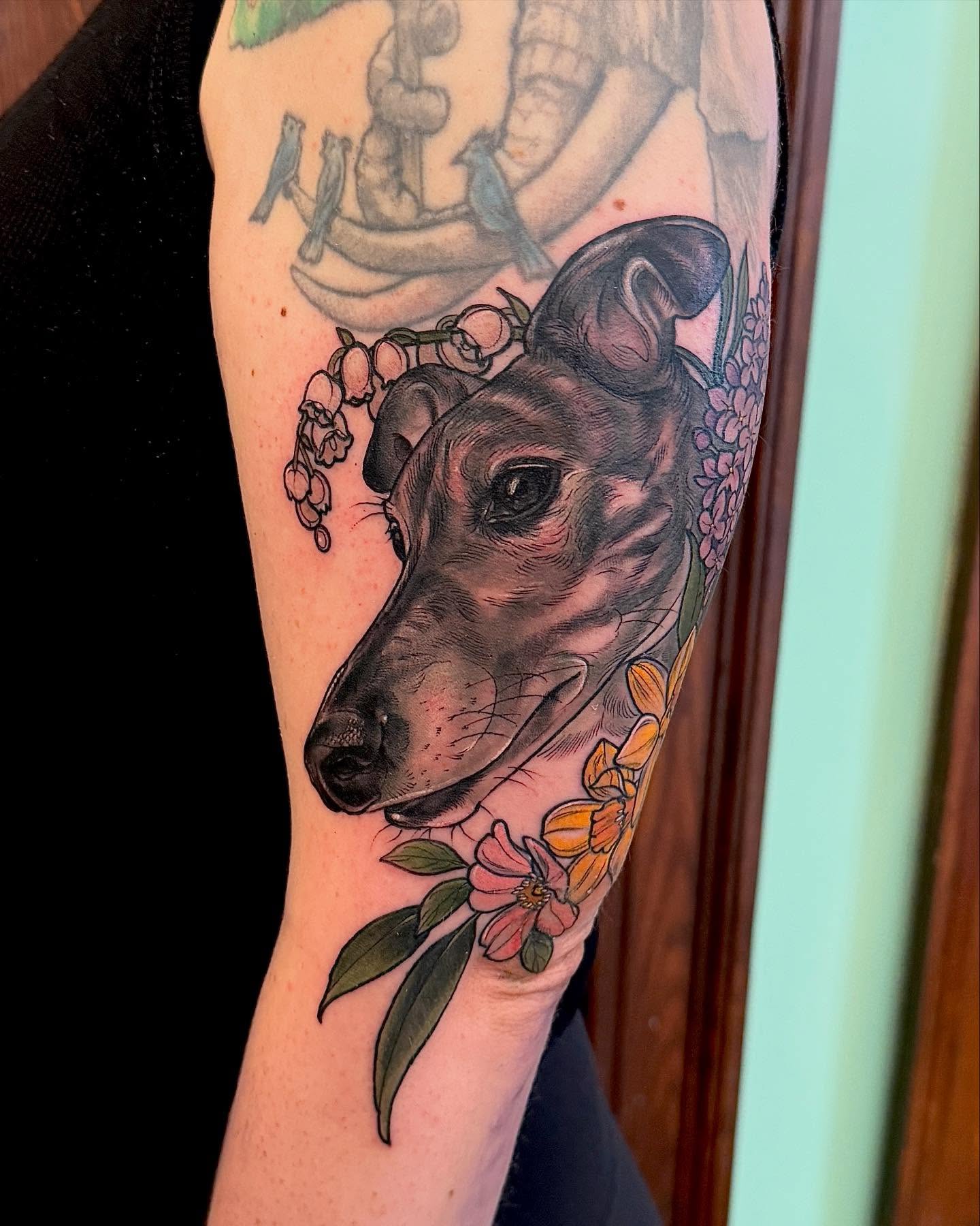 Greyhound with flowers realism tattoo on the forearm by Rachael Shelly
