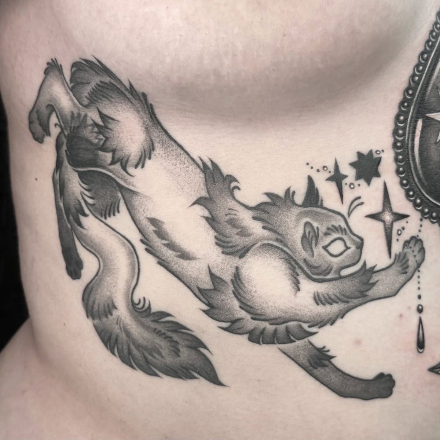 Cat dotwork tattoo on the ribs by π»ππππ β½ πΏππππ, Franklin, Tennessee
