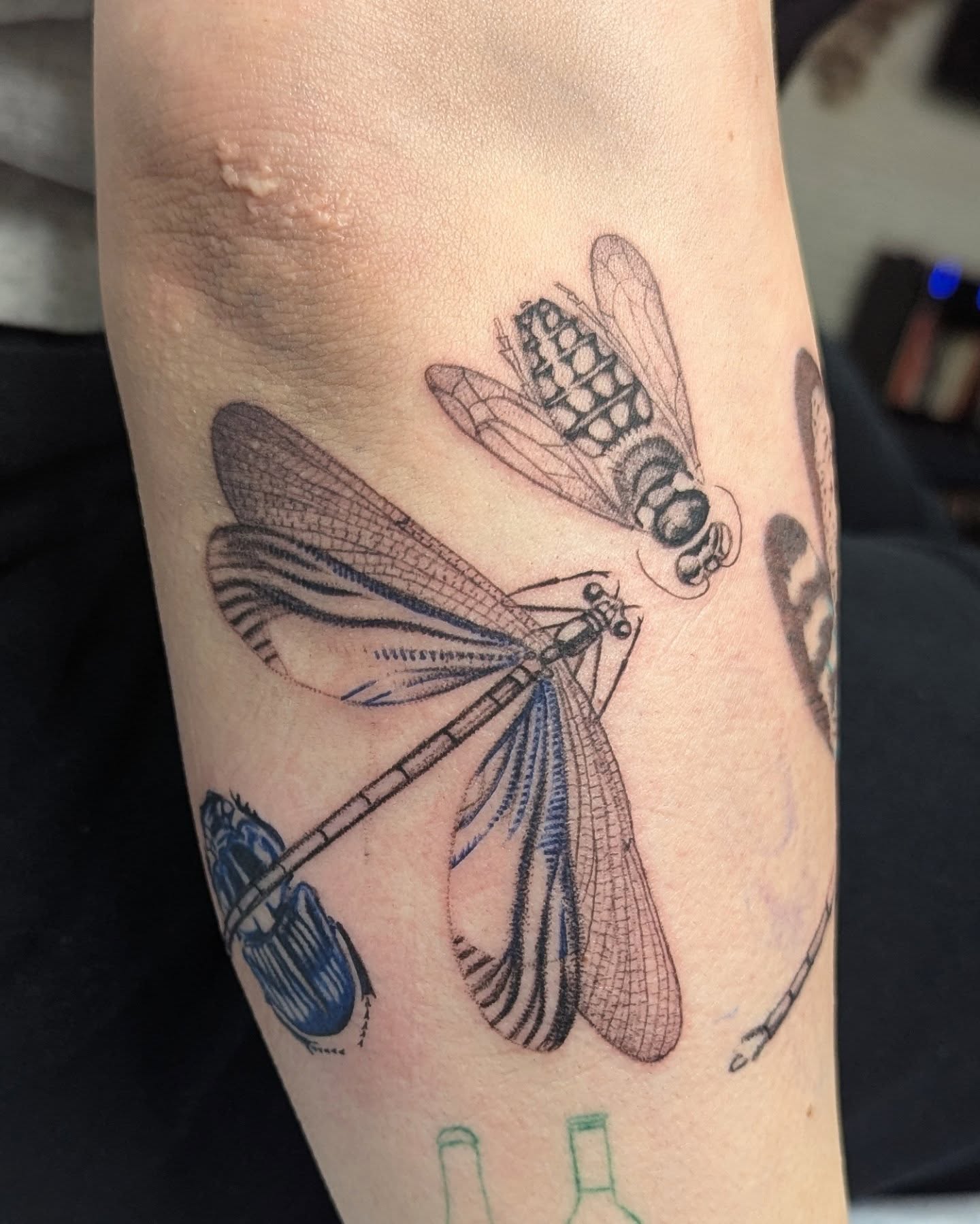 Dragonfly black and grey tattoo on the forearm by Eli Studer