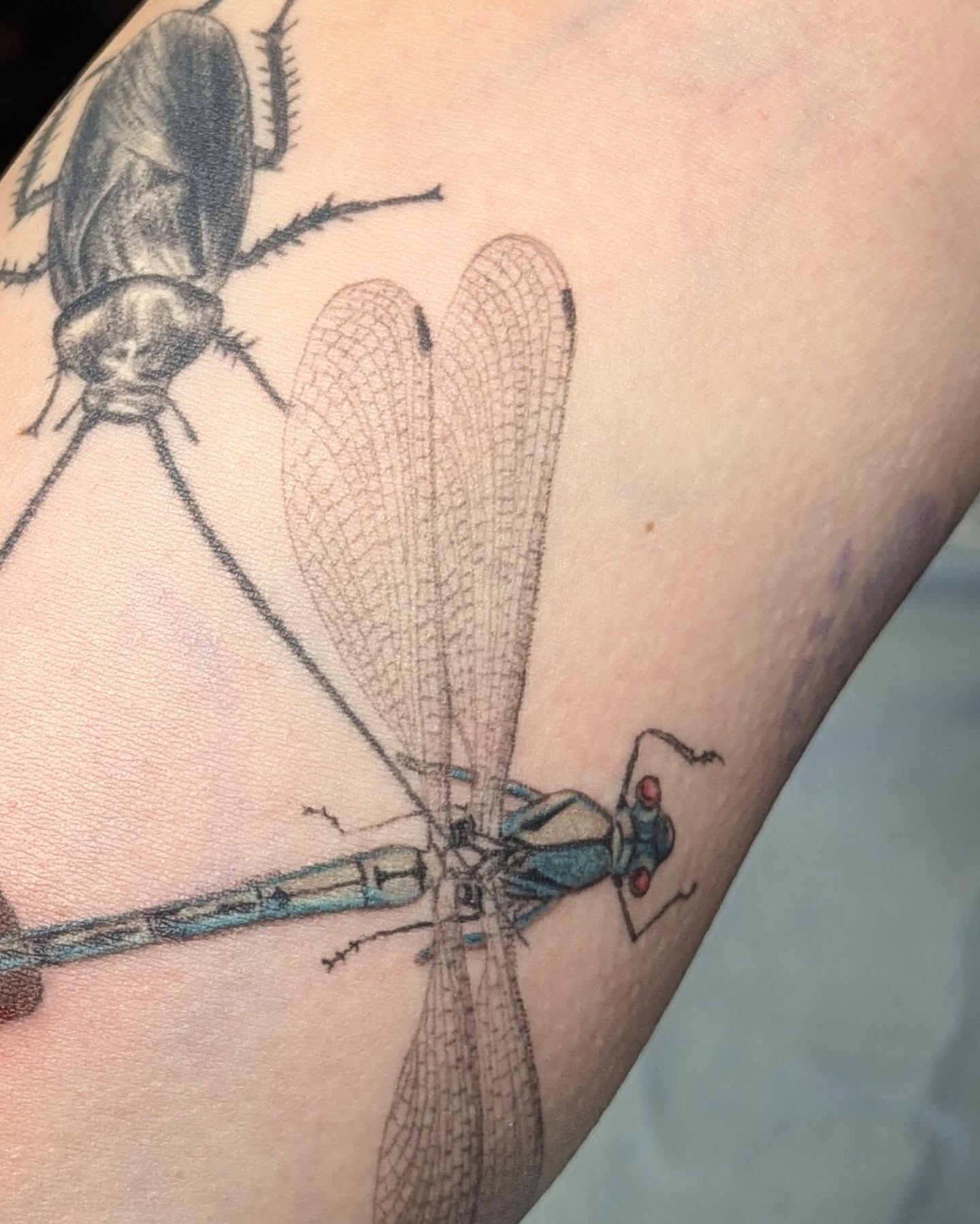 Dragonfly black and grey tattoo on the forearm by Eli Studer