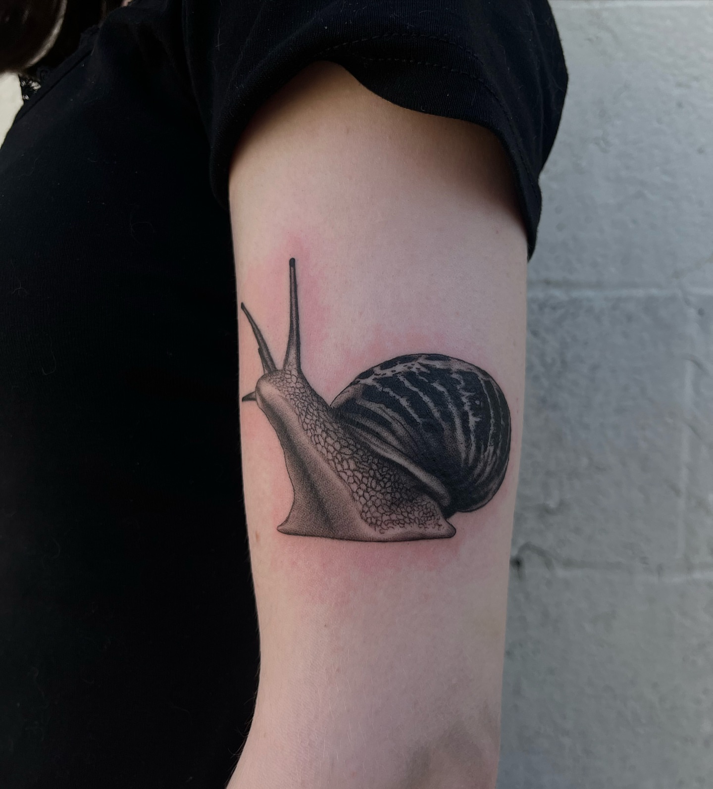 Snail realism tattoo on the forearm by 𝖎𝖘𝖆 ✶ 𝖉𝖋𝖜 𝖙𝖆𝖙𝖙𝖔𝖔𝖘