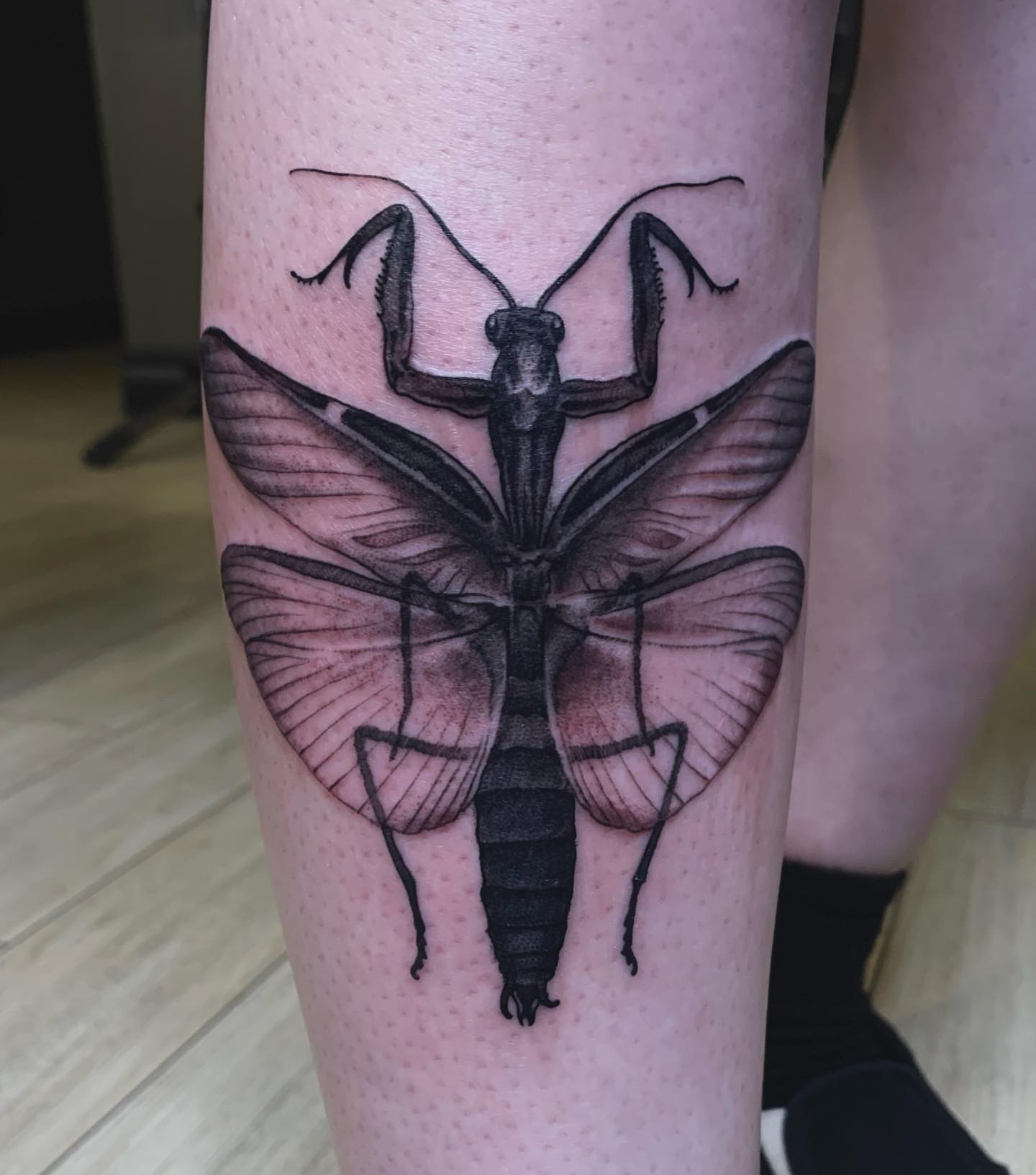 Grasshopper black and grey tattoo on the thigh by Tad Fulkerson, San Francisco, California