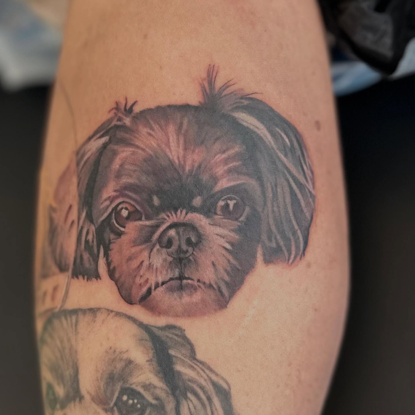 Dog realism tattoo on the forearm by Abigail Townsend