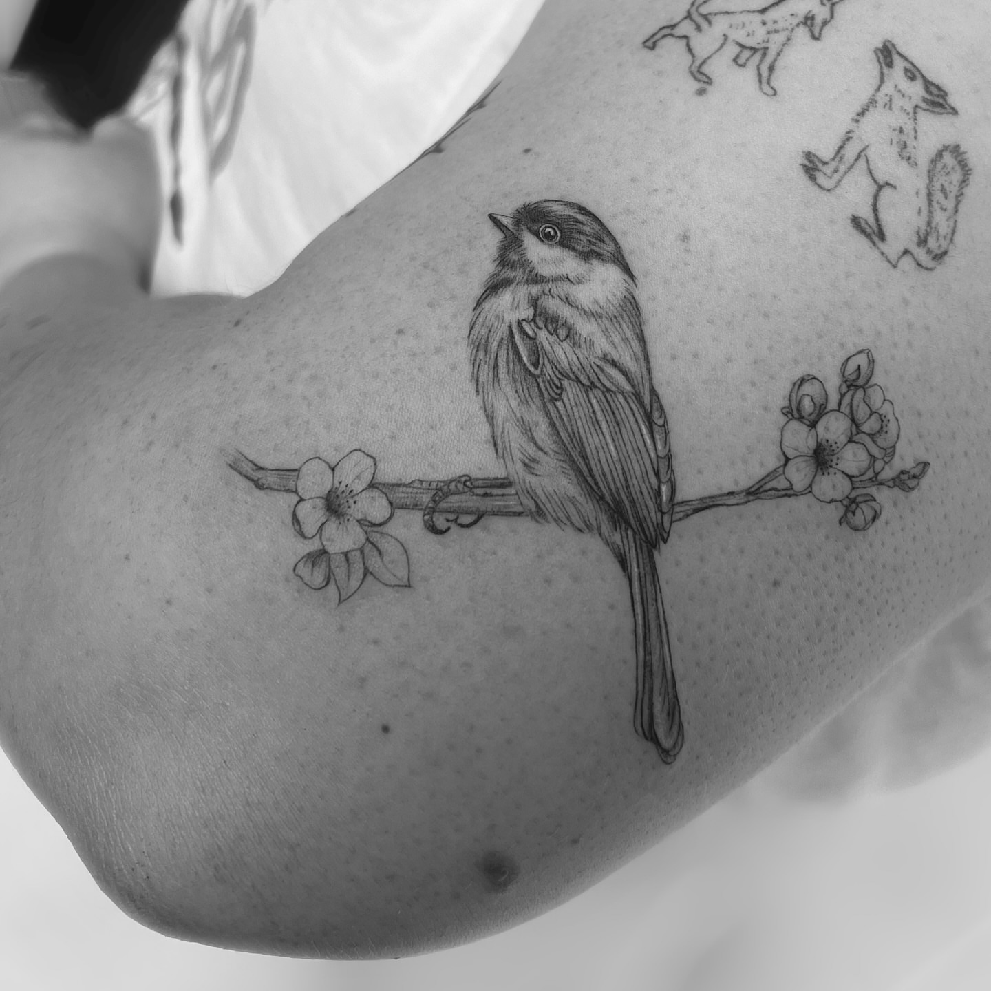 Bird on branch realism tattoo on the upper arm by Marisa Martello, Nashville, Tennessee