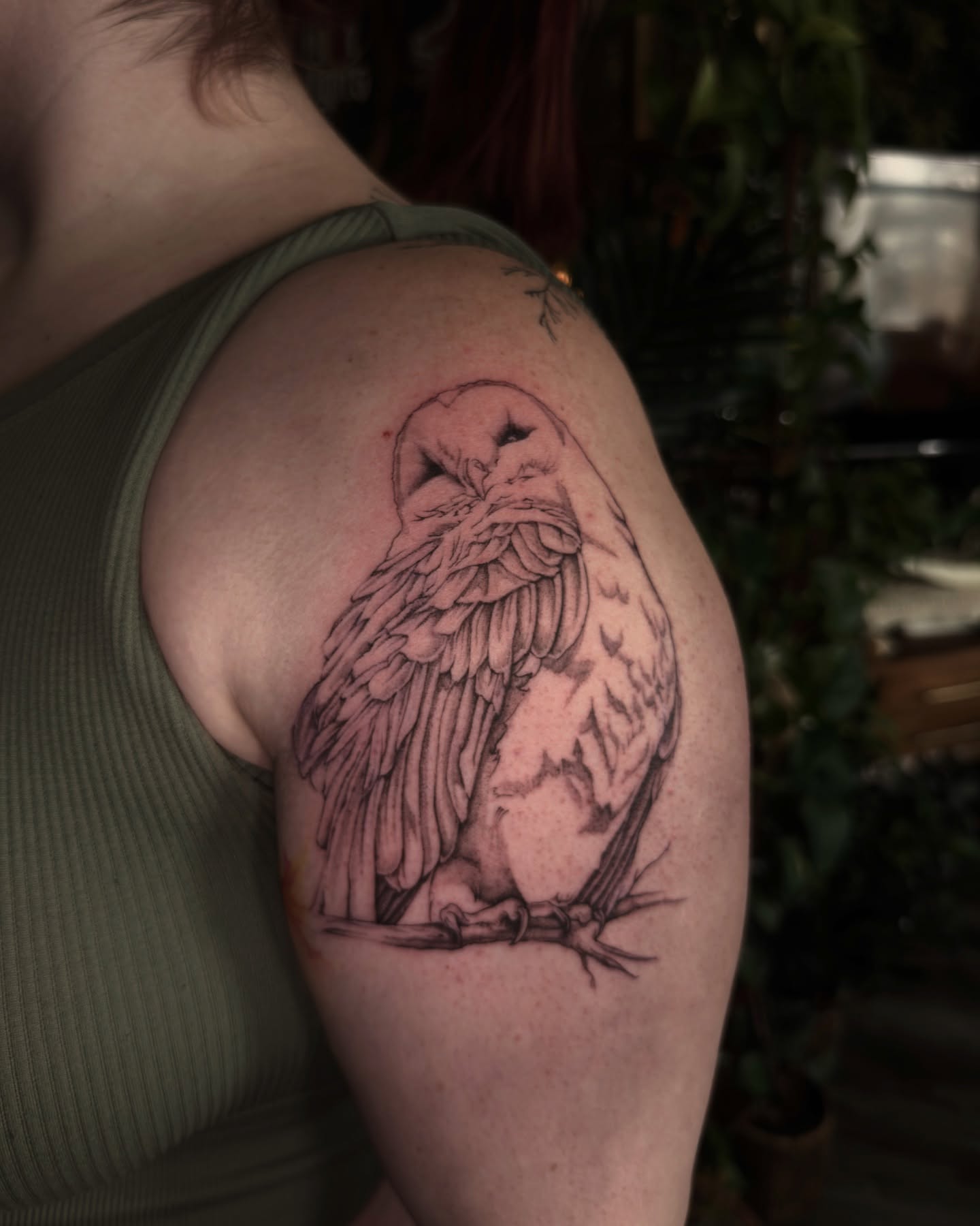 Owl black and grey tattoo on the shoulder by chloe🗡️🖤🦇🩸