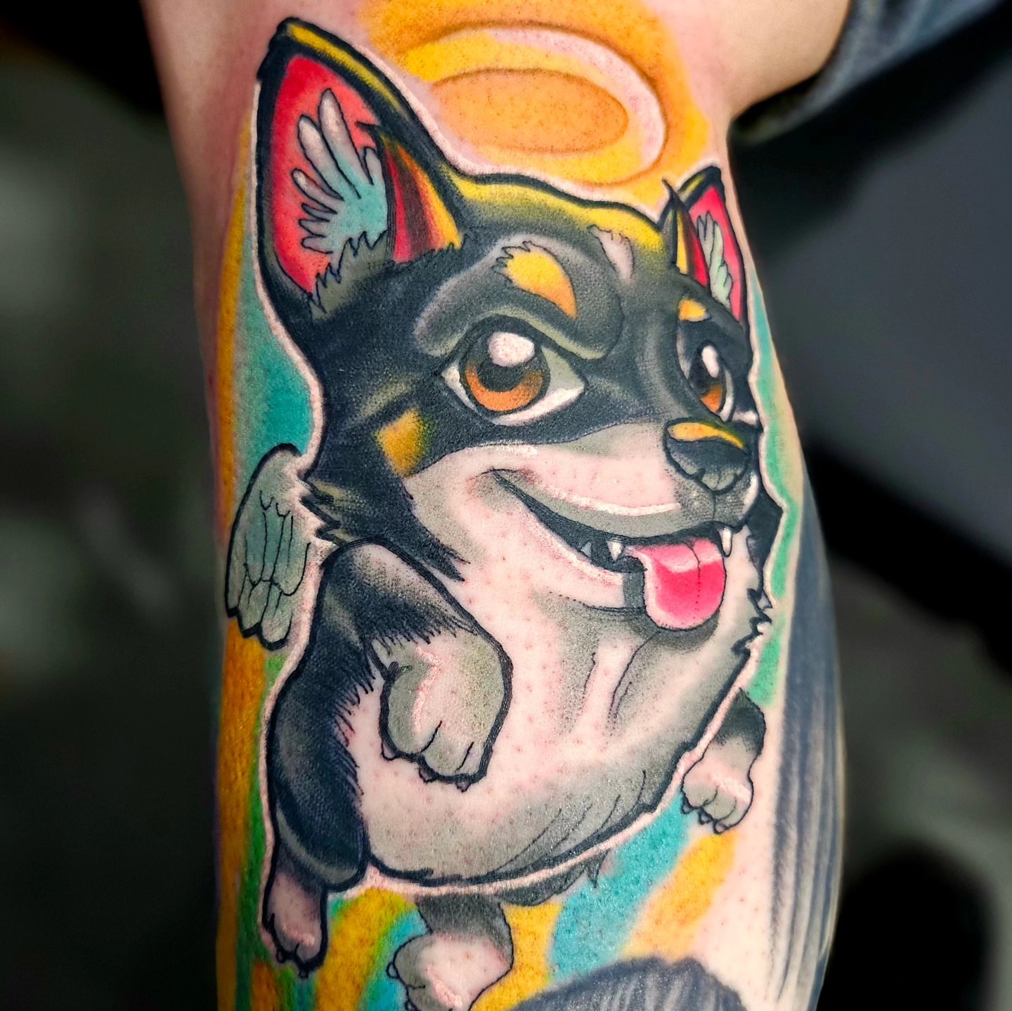 Chihuahua American traditional tattoo on the forearm by Edward Argibay