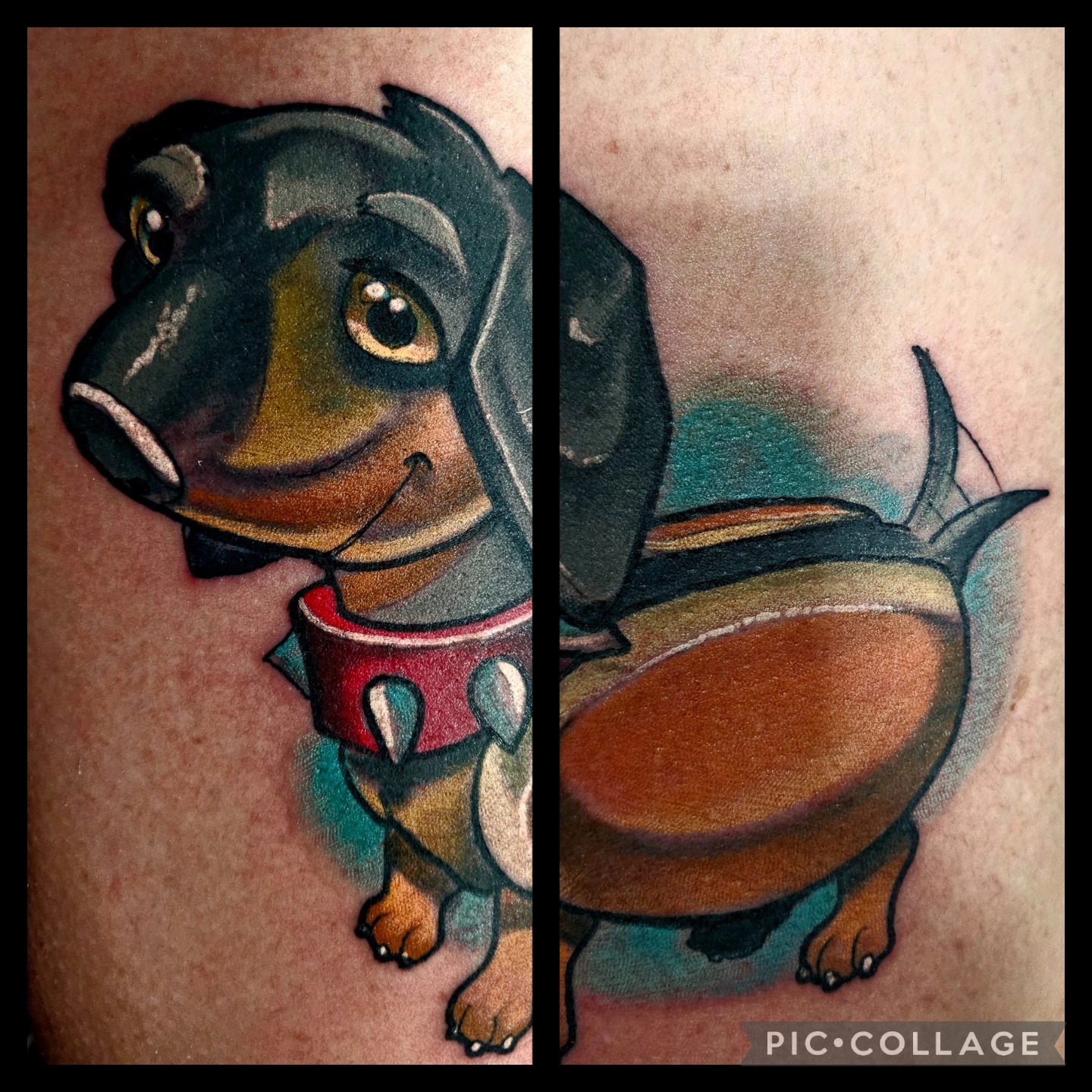 Dachshund American traditional tattoo on the forearm by Edward Argibay