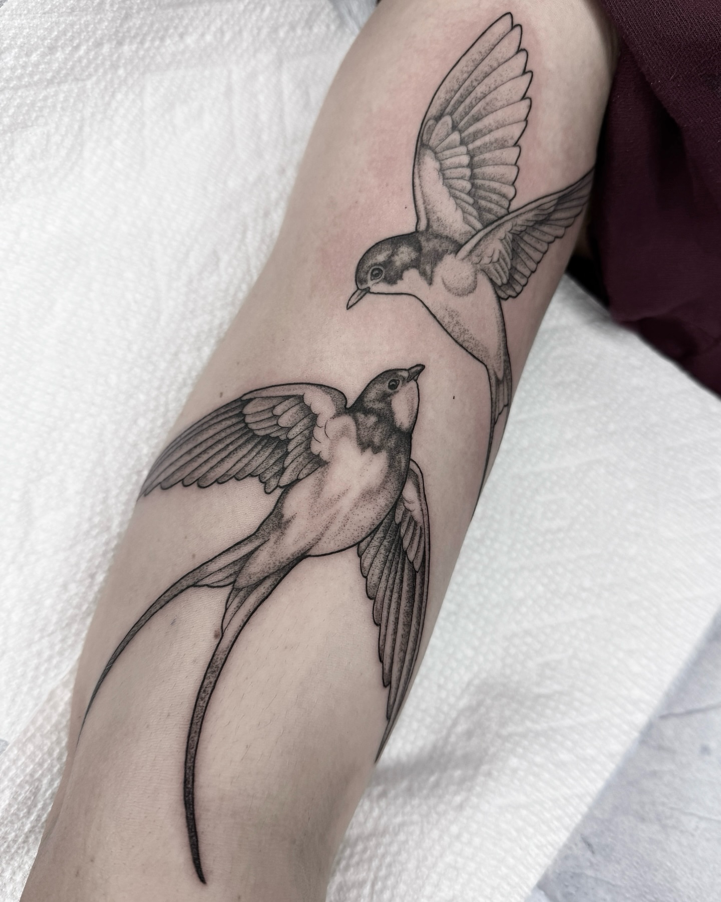 Tattoo by @horsegirltats — black_and_grey