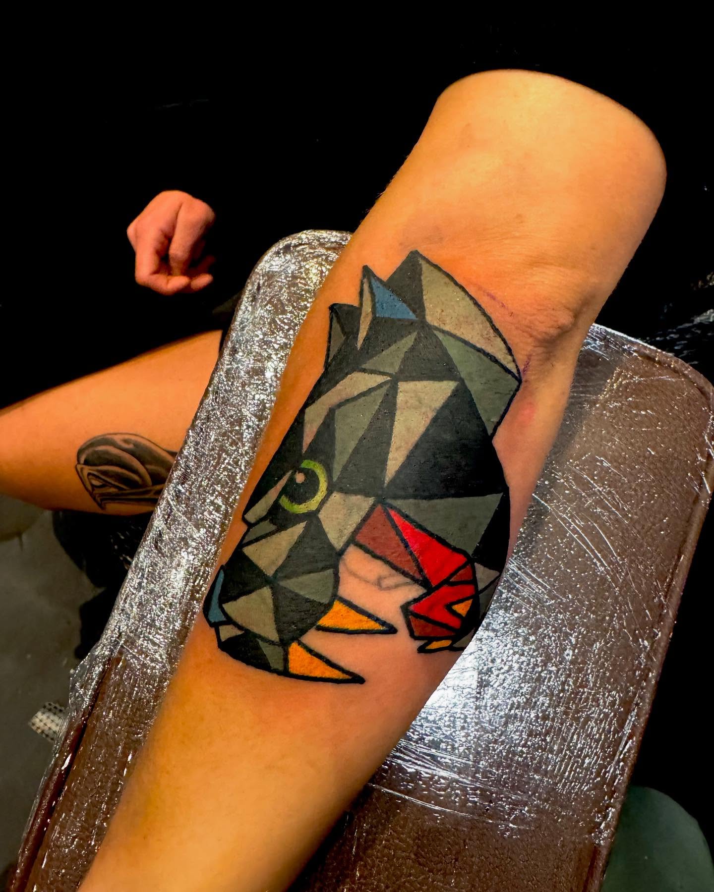 Geometric cat geometric tattoo on the forearm by Nick Rodin