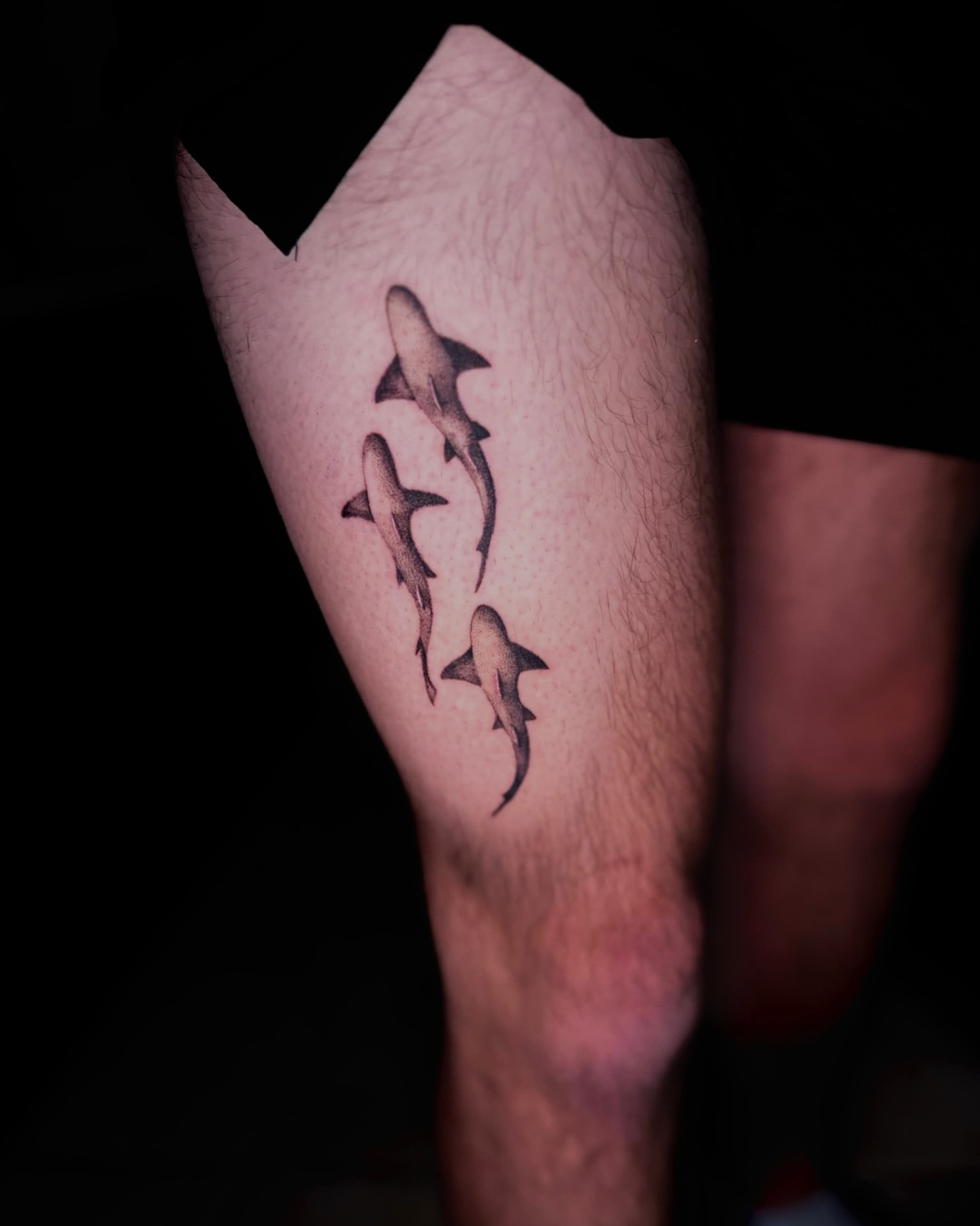 Sharks dotwork tattoo on the forearm by V