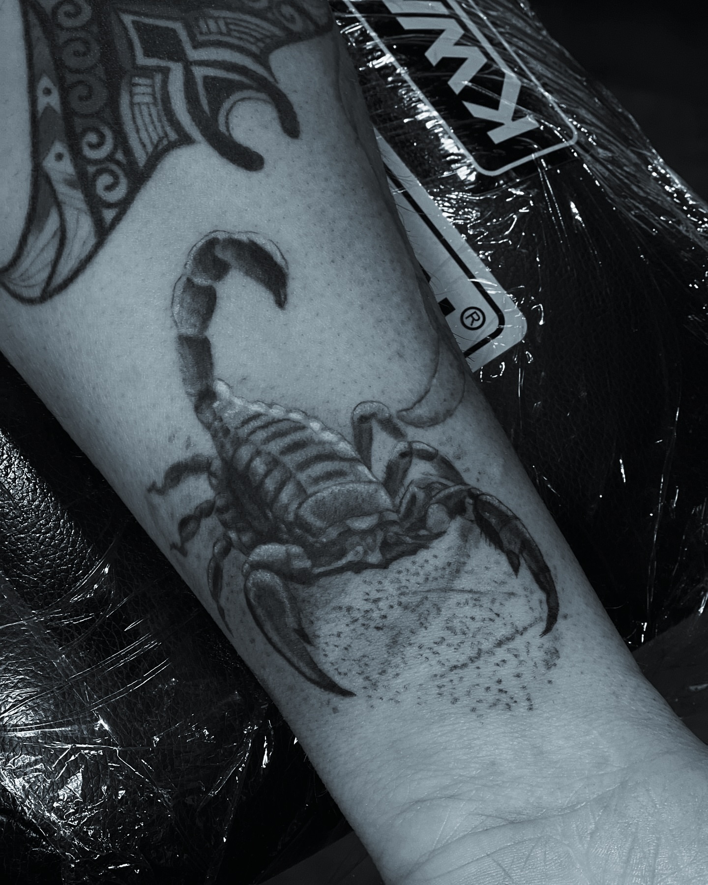 Scorpion realism tattoo on the forearm by Romi Utah Tattoo