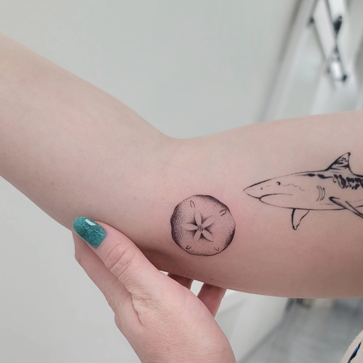 Sand dollar and shark dotwork tattoo on the forearm by Las Vegas Fine Line Tattoos