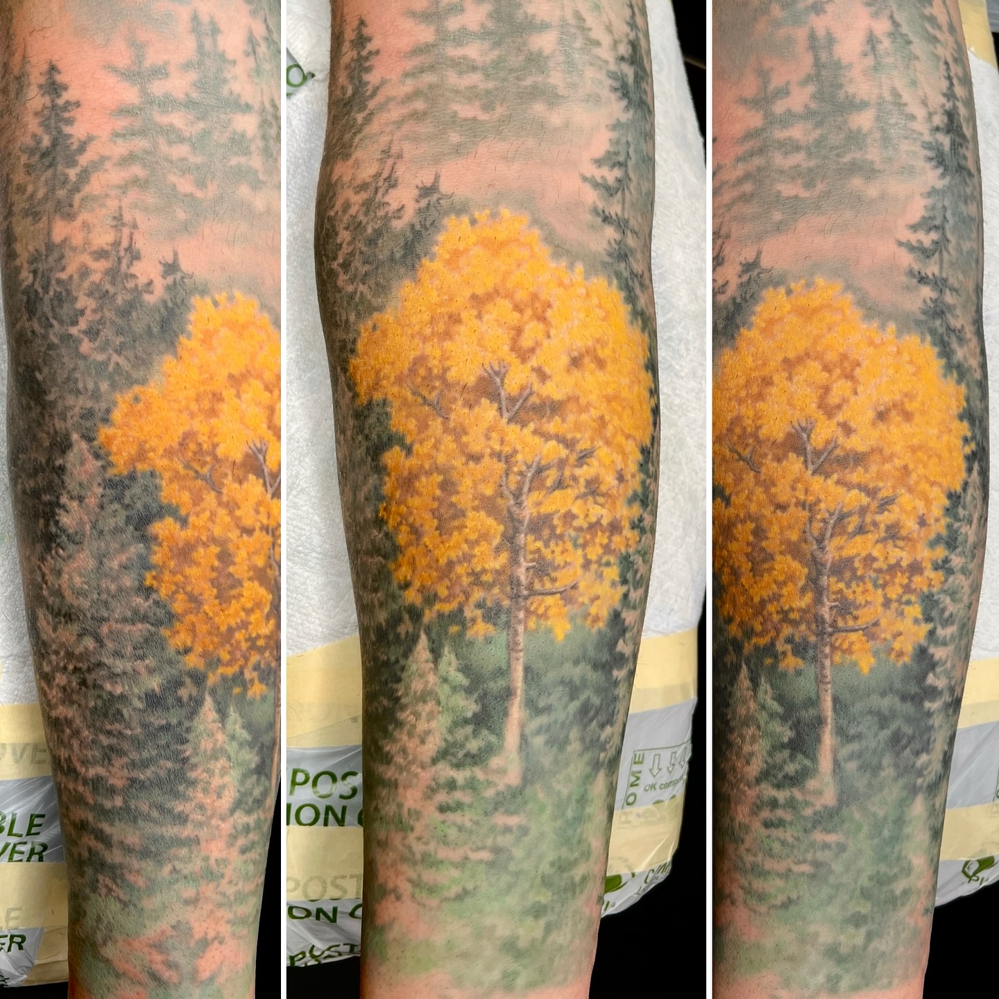 Tattoo by @jameskernart — realism, dotwork