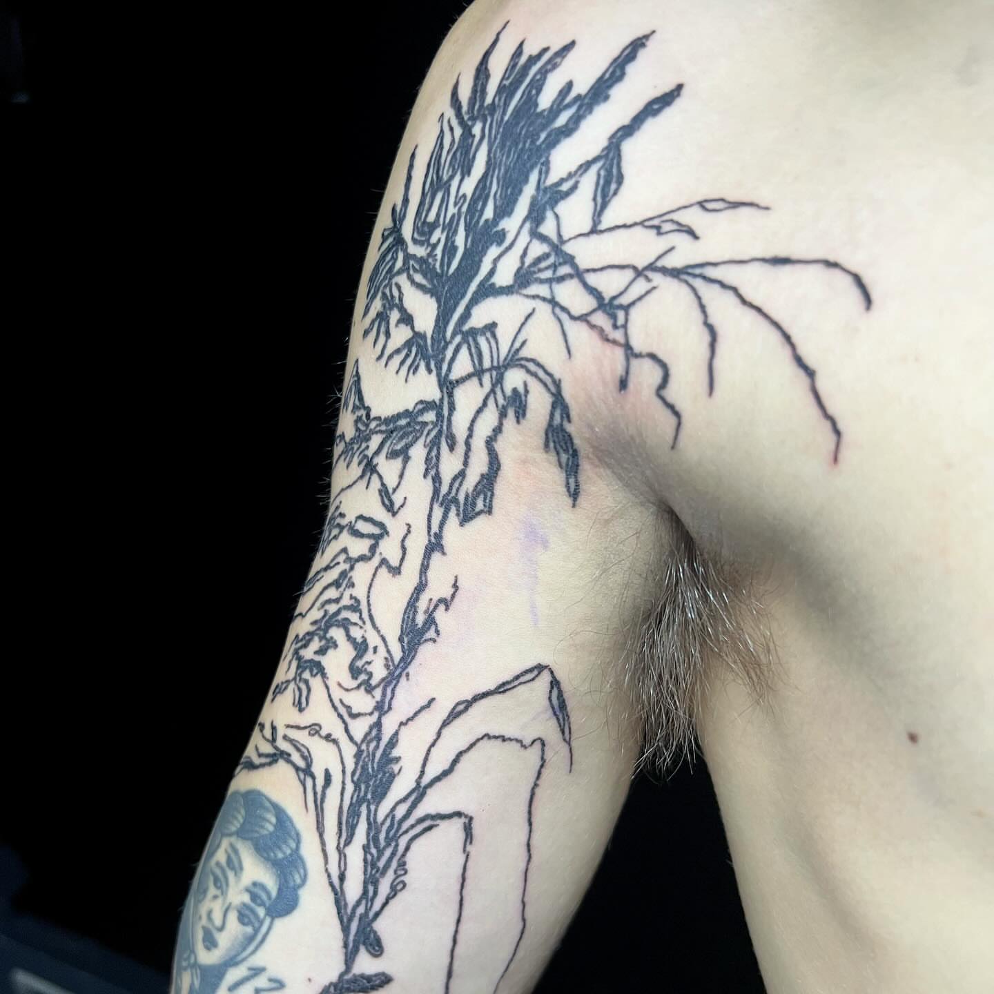 Plant black and grey tattoo on the upper arm by @godsfirmgrip