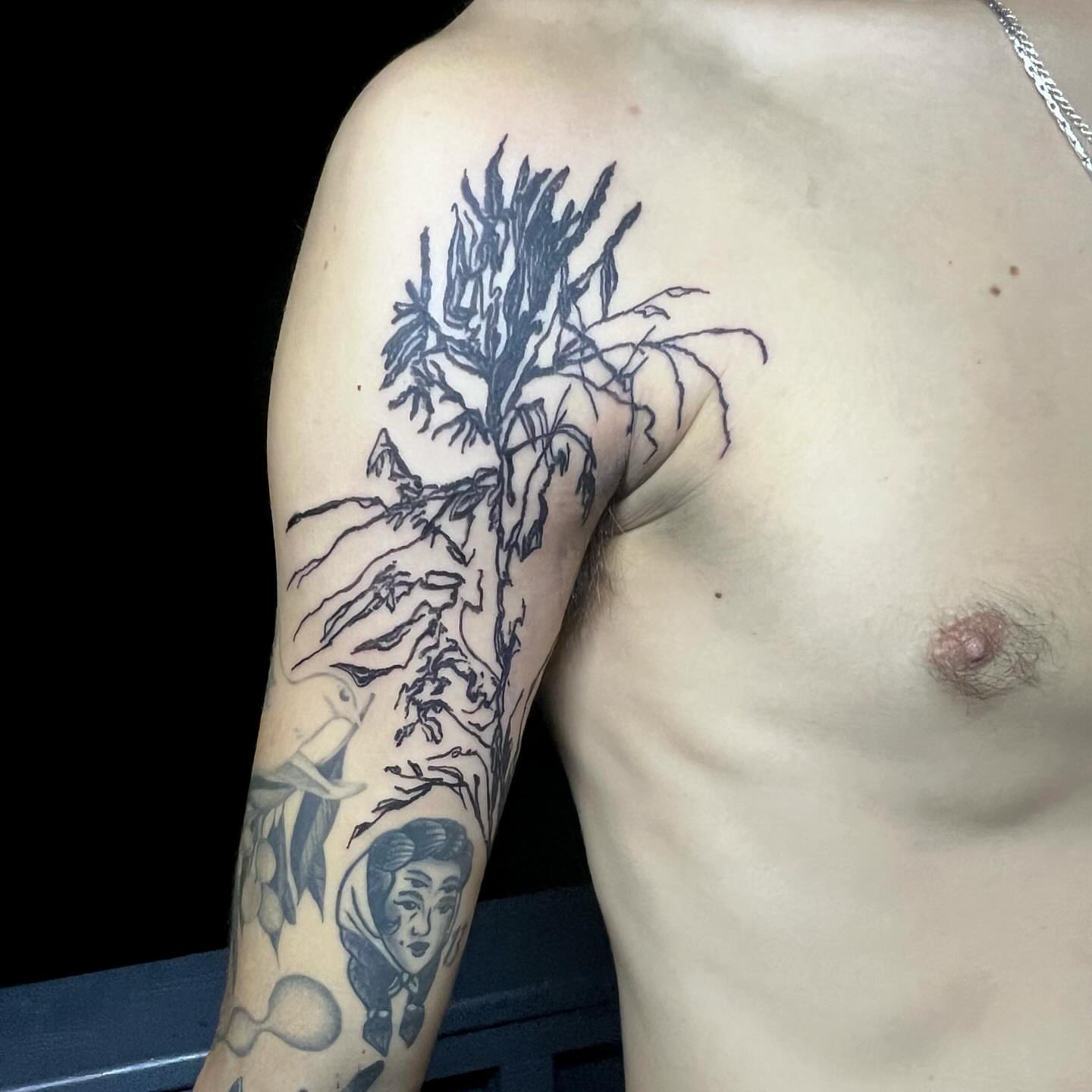 Plant black and grey tattoo on the upper arm by @godsfirmgrip