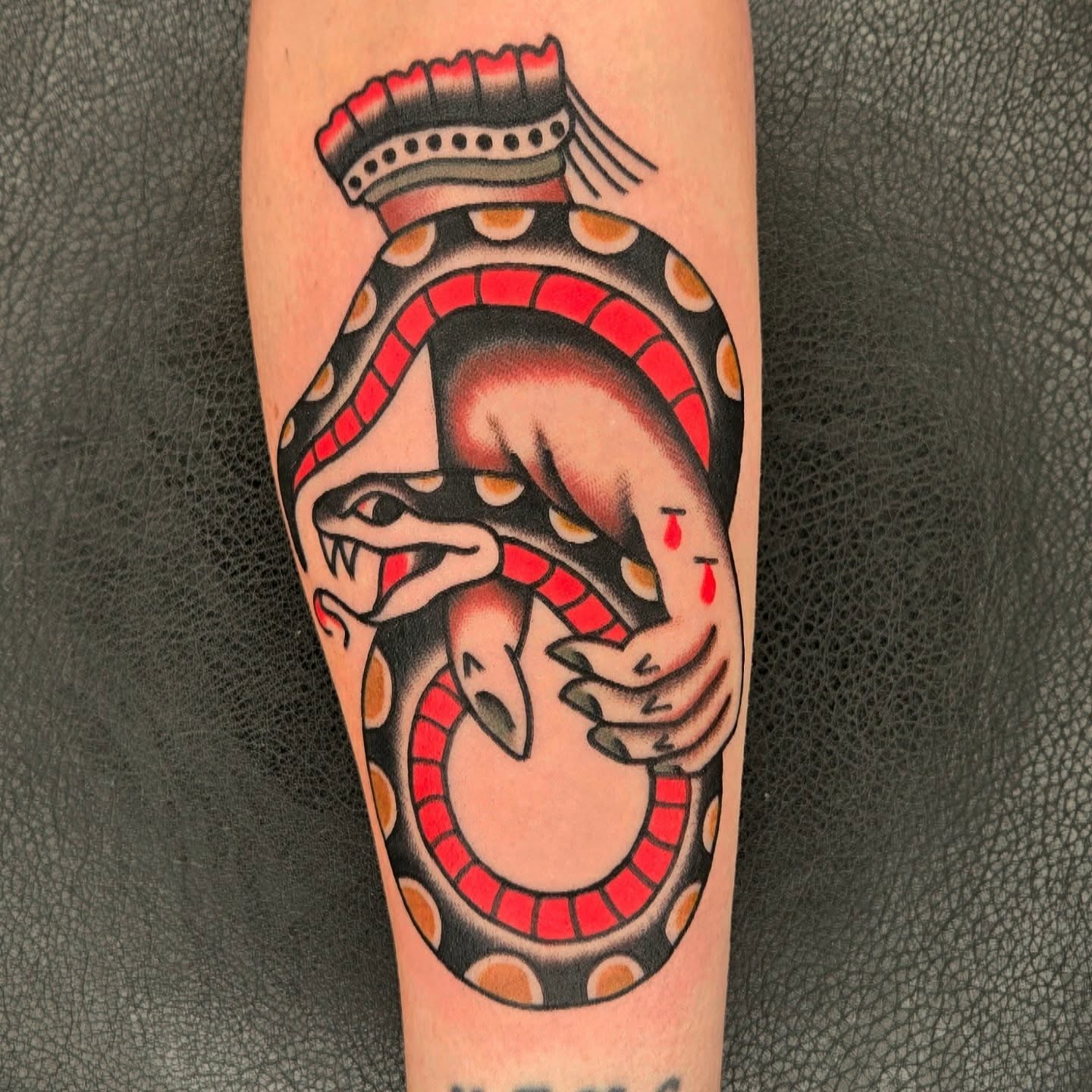 Snake American traditional tattoo on the forearm by Deke Harms, Bend, Oregon