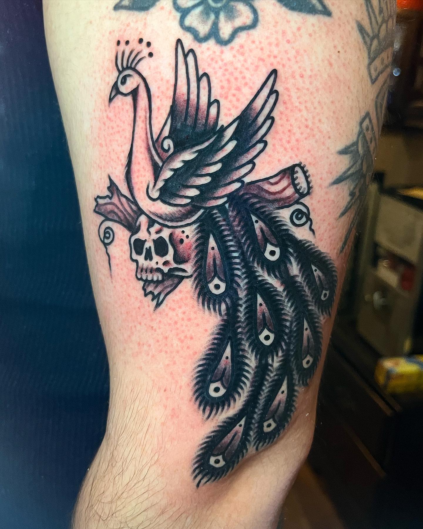 Peacock and skull American traditional tattoo on the forearm by Jake LiCausi