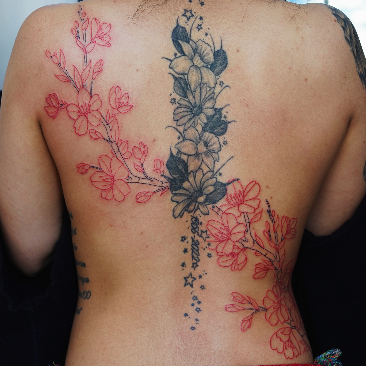 Cherry blossoms and flowers new school tattoo on the back by SF Tattoo Artist غريغوريو, San Francisco, California