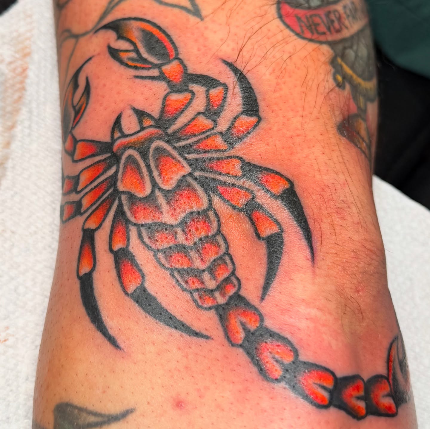 Tattoo by @kkstattoos — american_traditional
