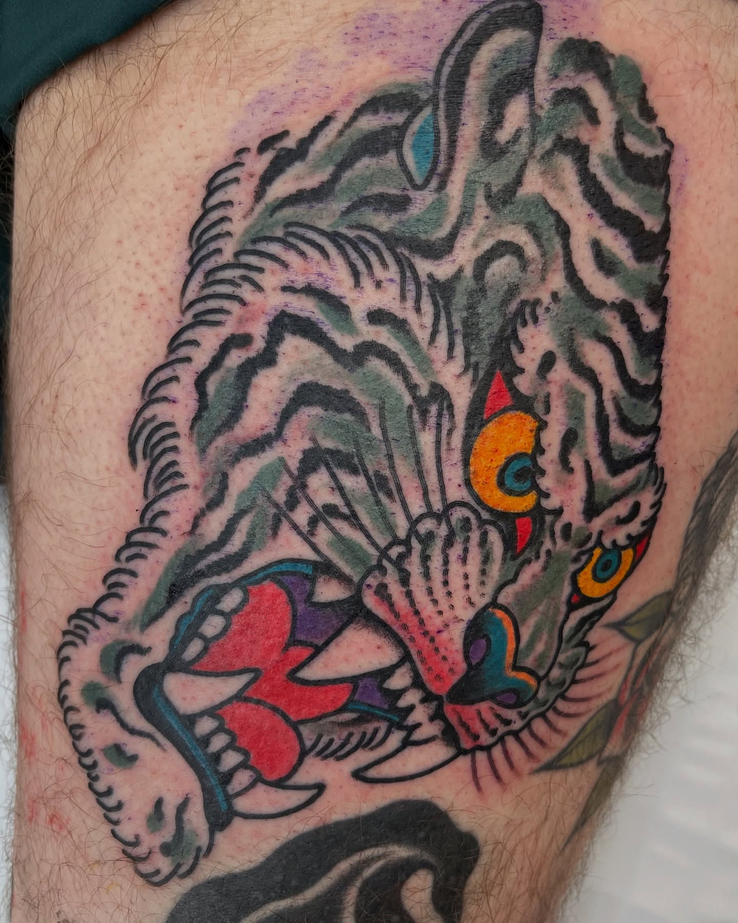 Tiger American traditional tattoo on the thigh by Mike Wilson