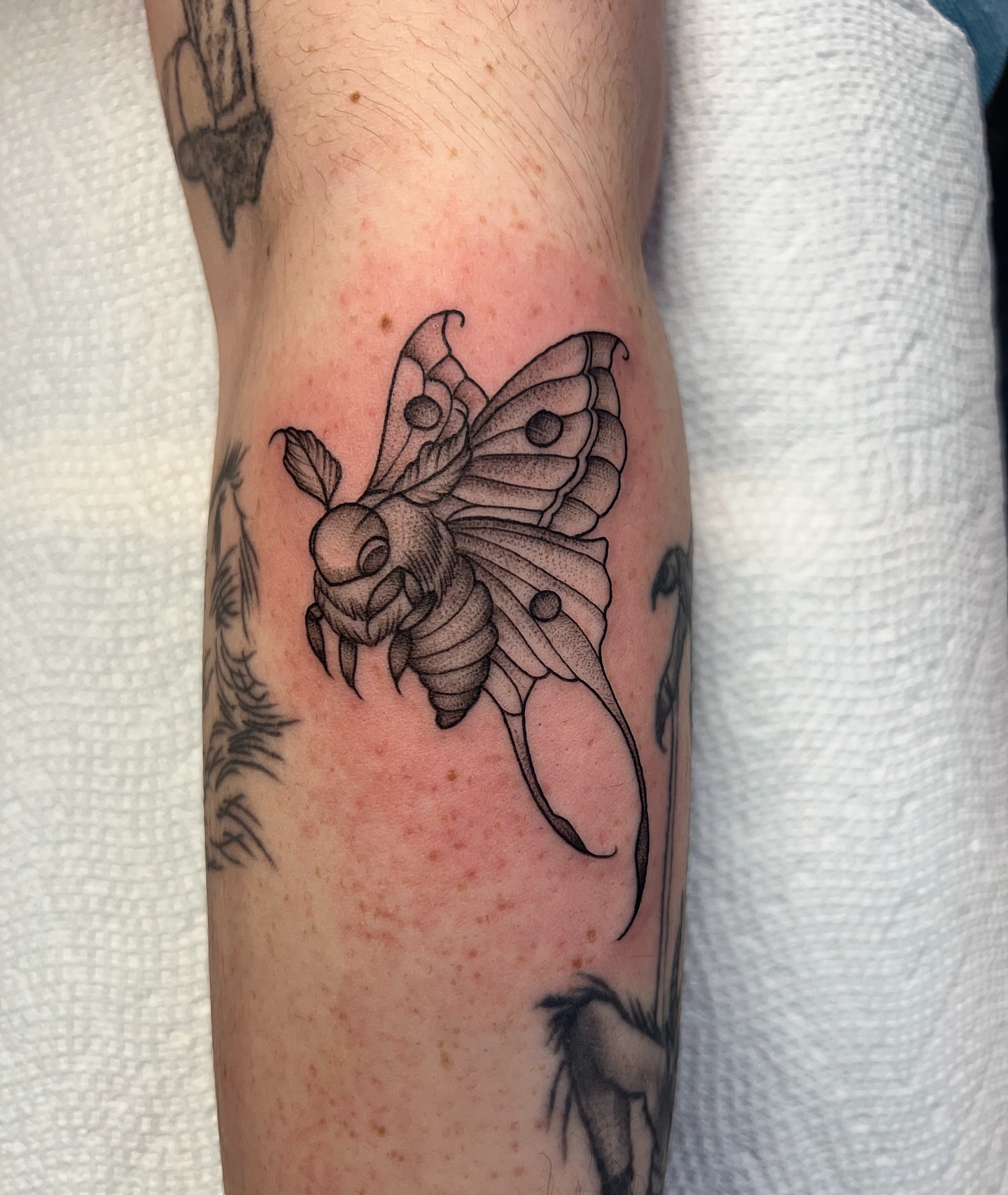 Moth black and grey tattoo on the forearm by Baung Ben