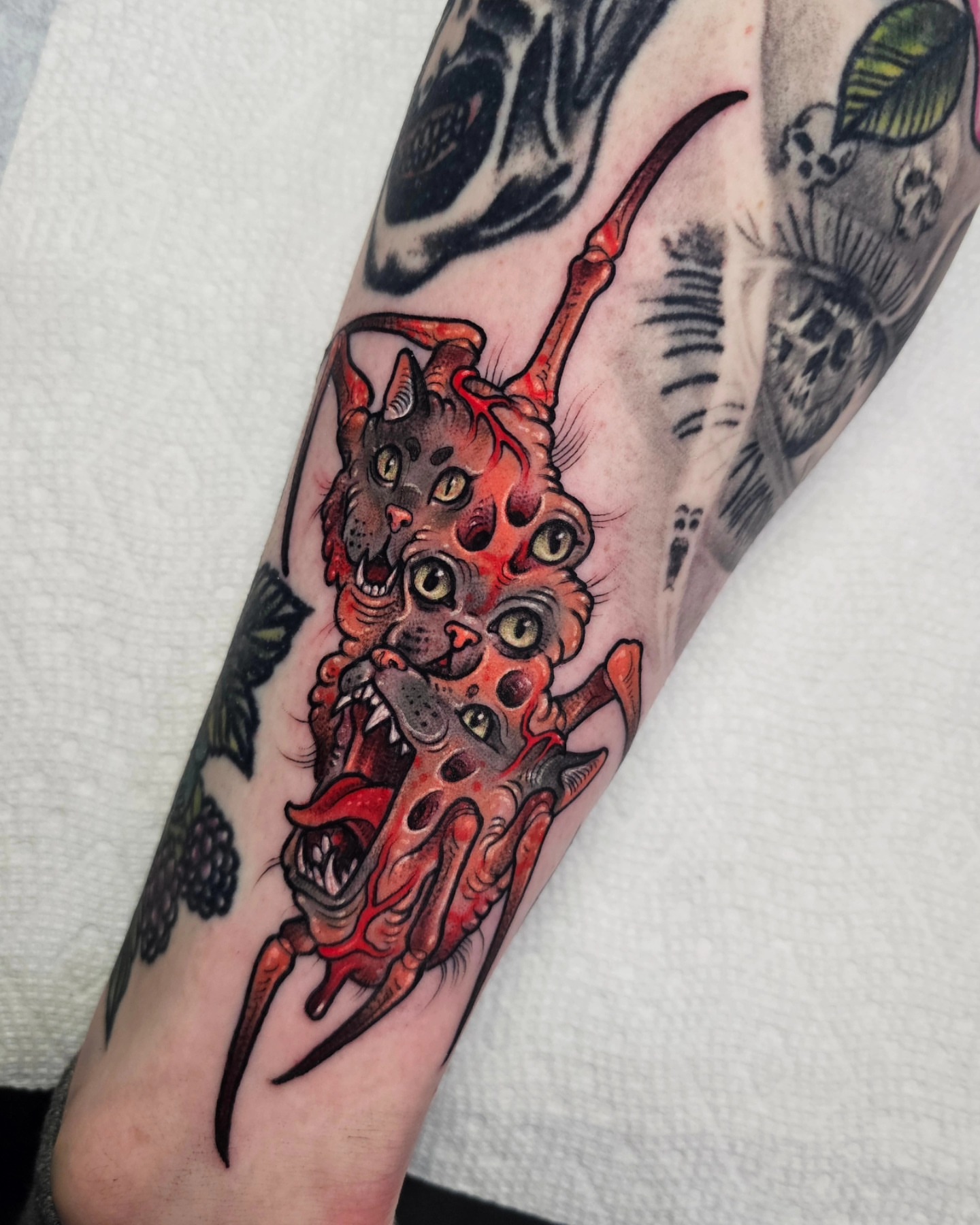 Cat American traditional tattoo on the forearm by Shannon