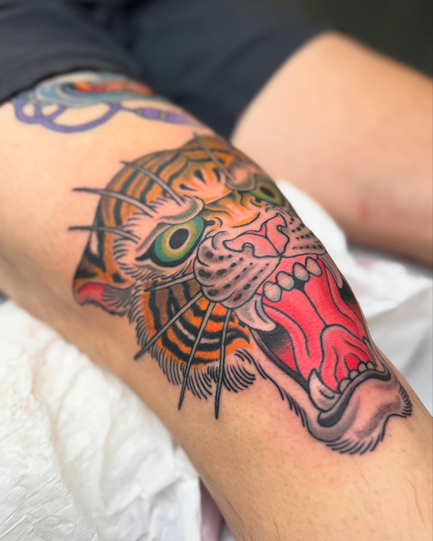Tiger American traditional tattoo on the forearm by Cole Pittman Memphis Tattoo artist, Memphis, Tennessee