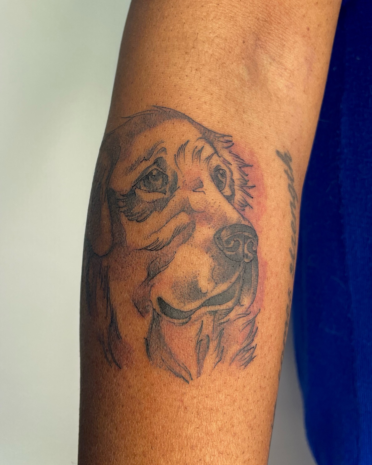 Tattoo by @montana_blue β realism