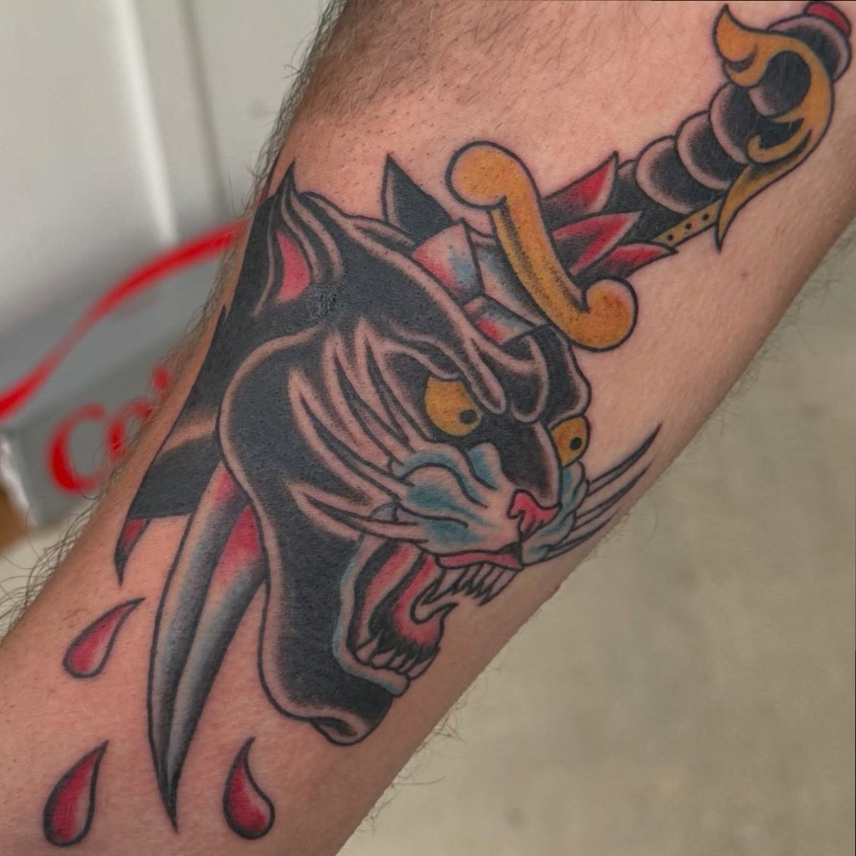 Cat and dagger American traditional tattoo on the forearm by 𝕯𝖗𝖆𝕶𝖊㋛