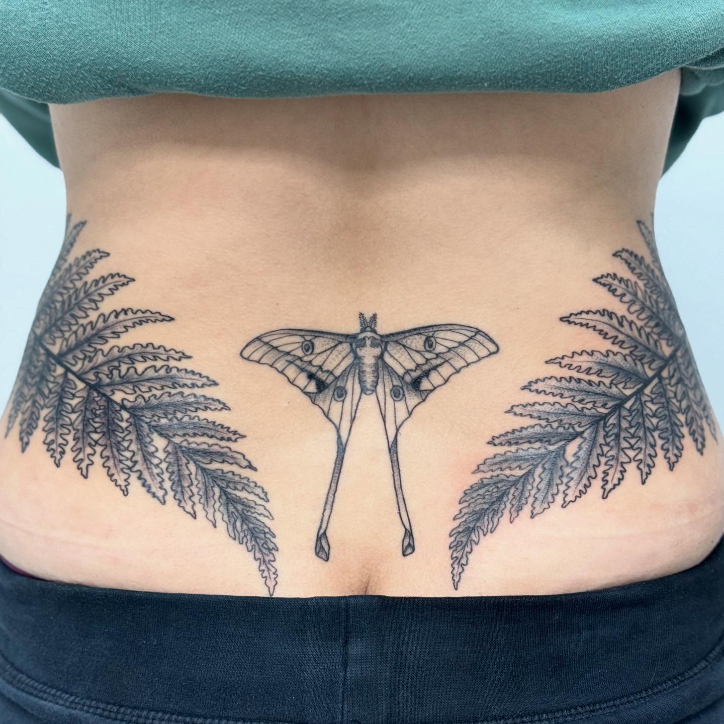 Moth and ferns black and grey tattoo on the torso by Lacee-Beth Finch