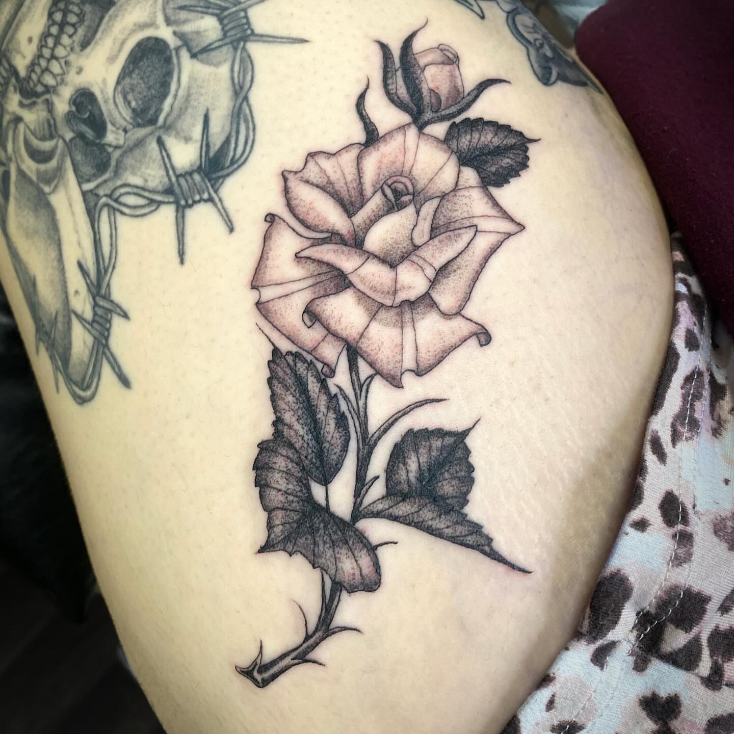 Rose black and grey tattoo on the shoulder by Jacie Aasen-Lupino