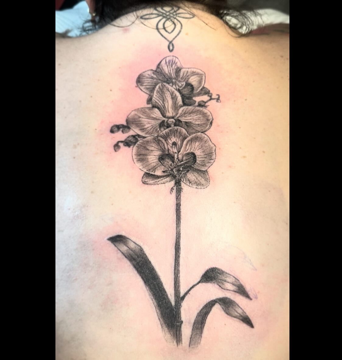 Orchid black and grey tattoo on the back by 🌜🔮✨Anya Casey✨🔮🌛