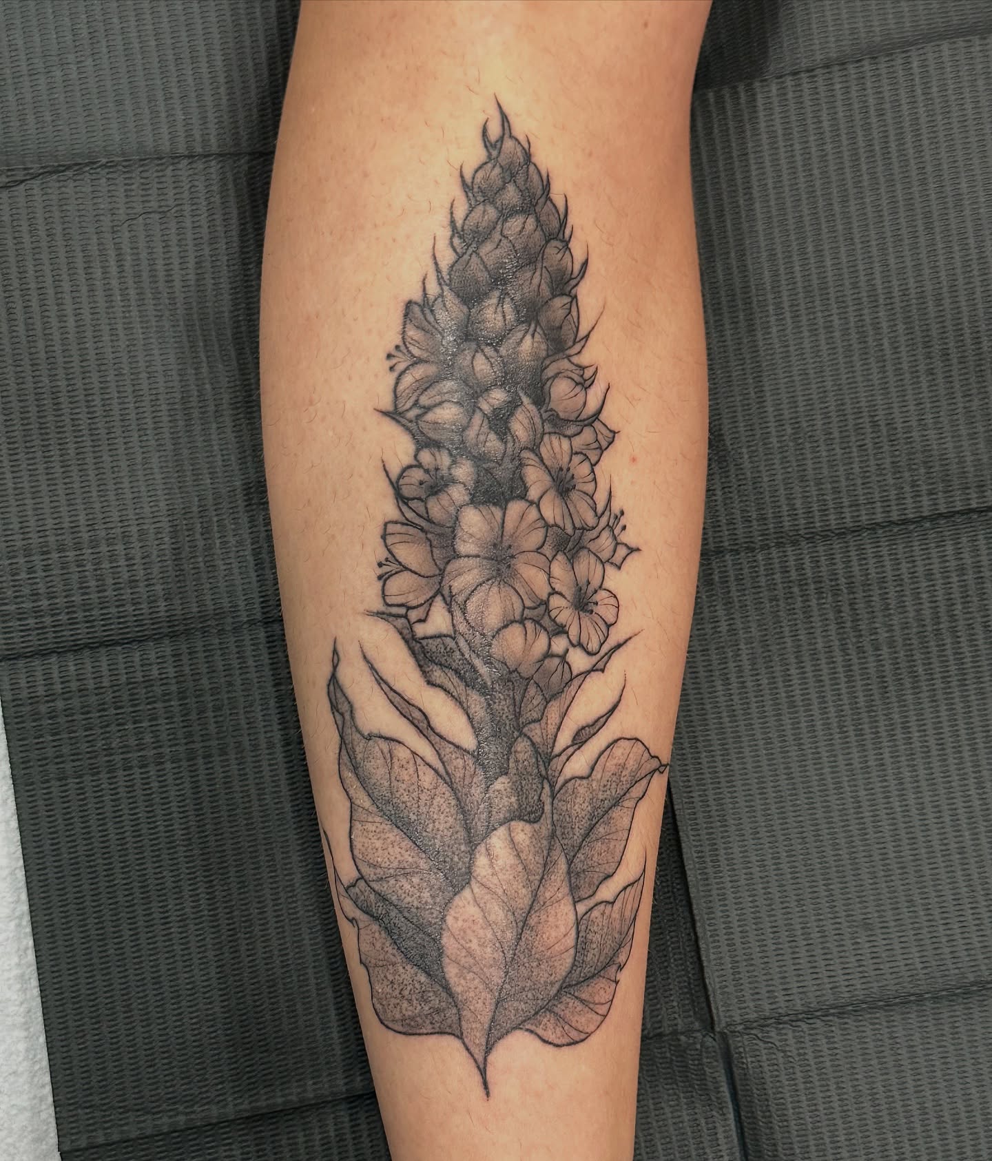 Foxglove plant dotwork tattoo on the forearm by 𝙹𝚎𝚗 ♡︎