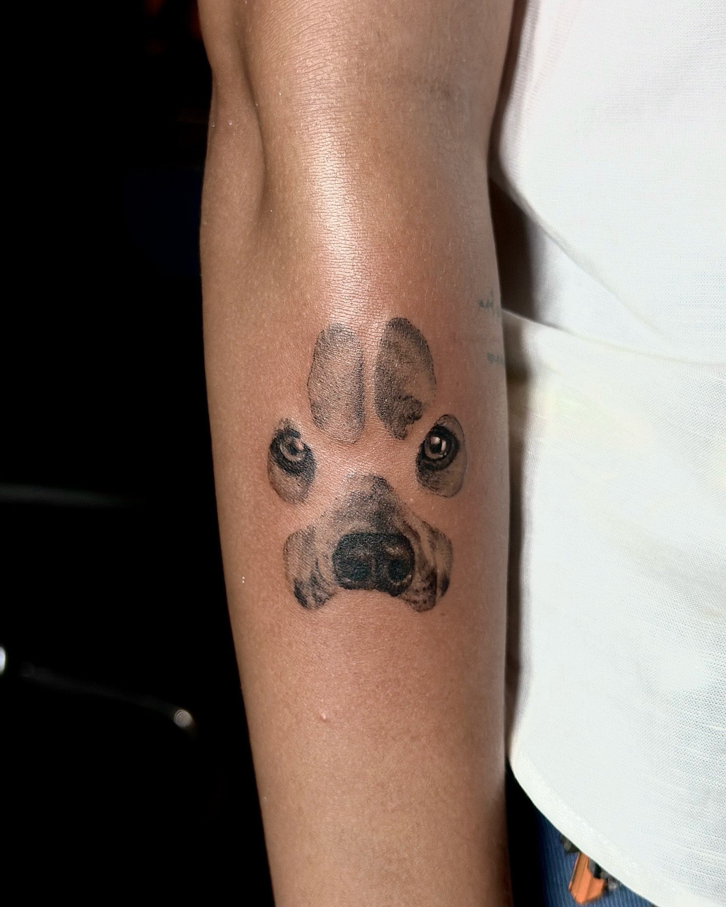 Dog face realism tattoo on the forearm by Jevon Glasco Tattoos