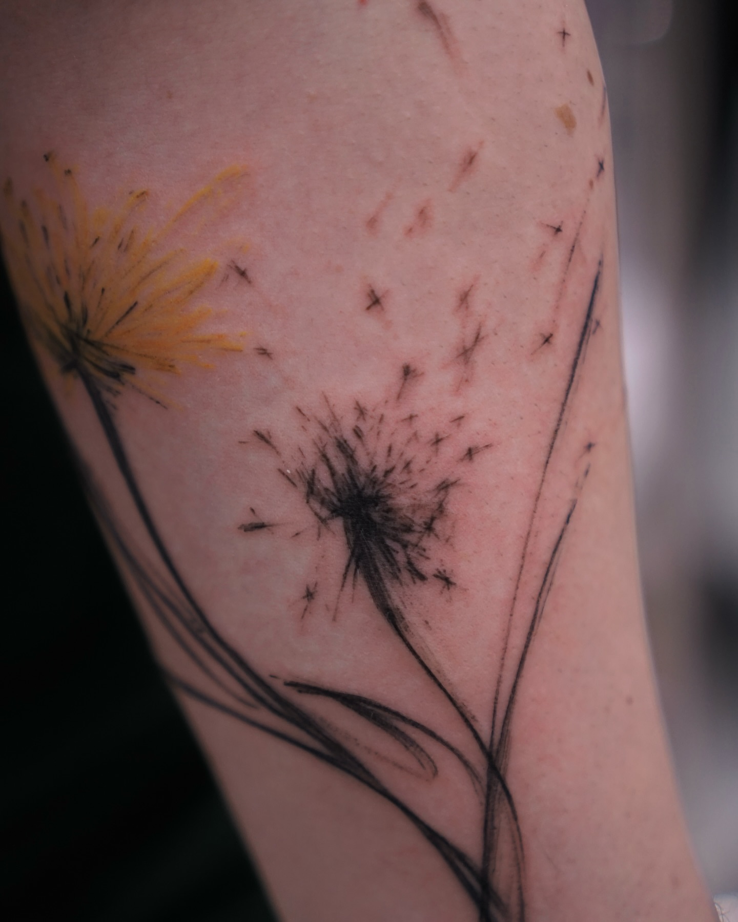 Dandelion dotwork tattoo on the forearm by Young one 영원