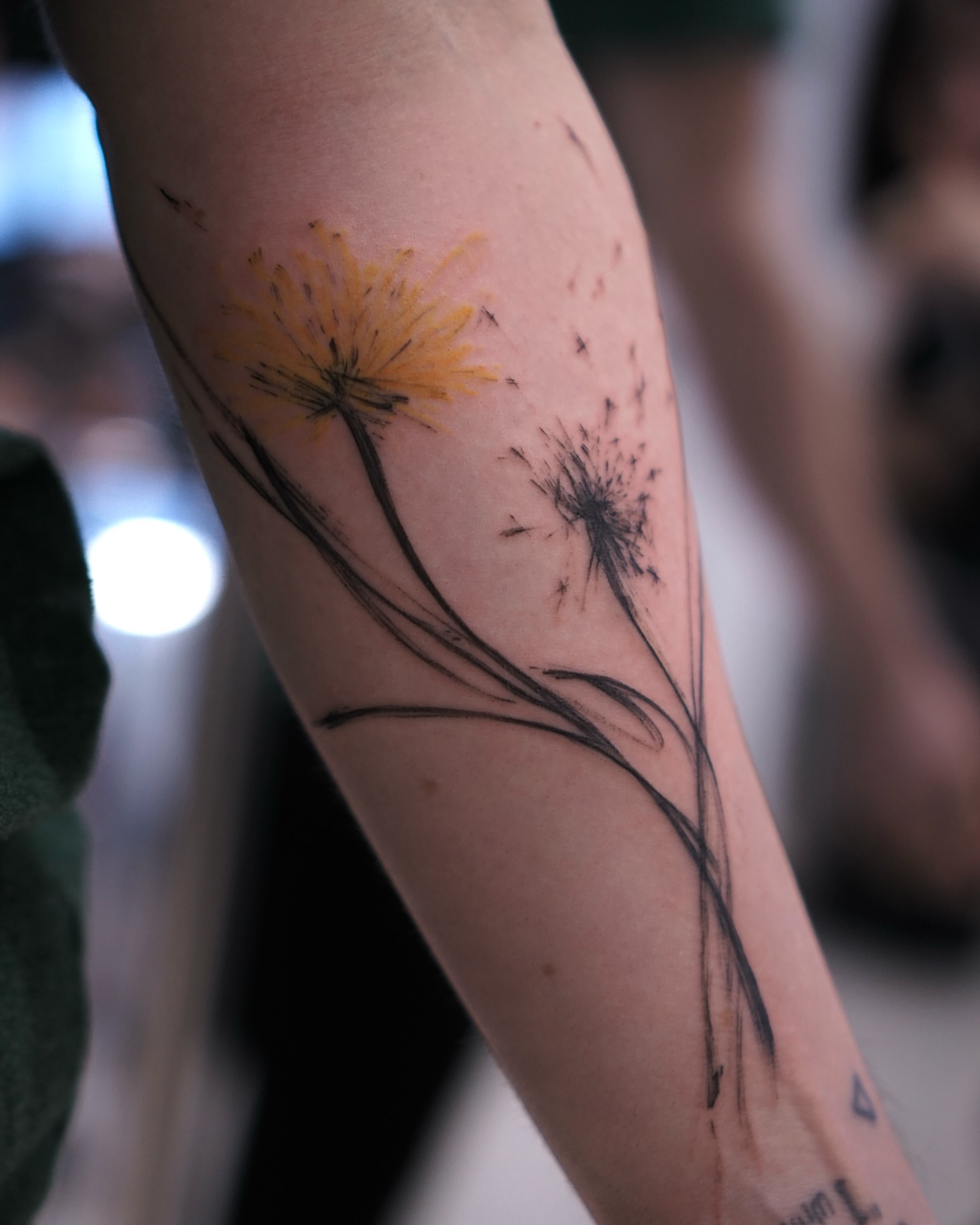 Dandelion realism tattoo on the forearm by Young one 영원