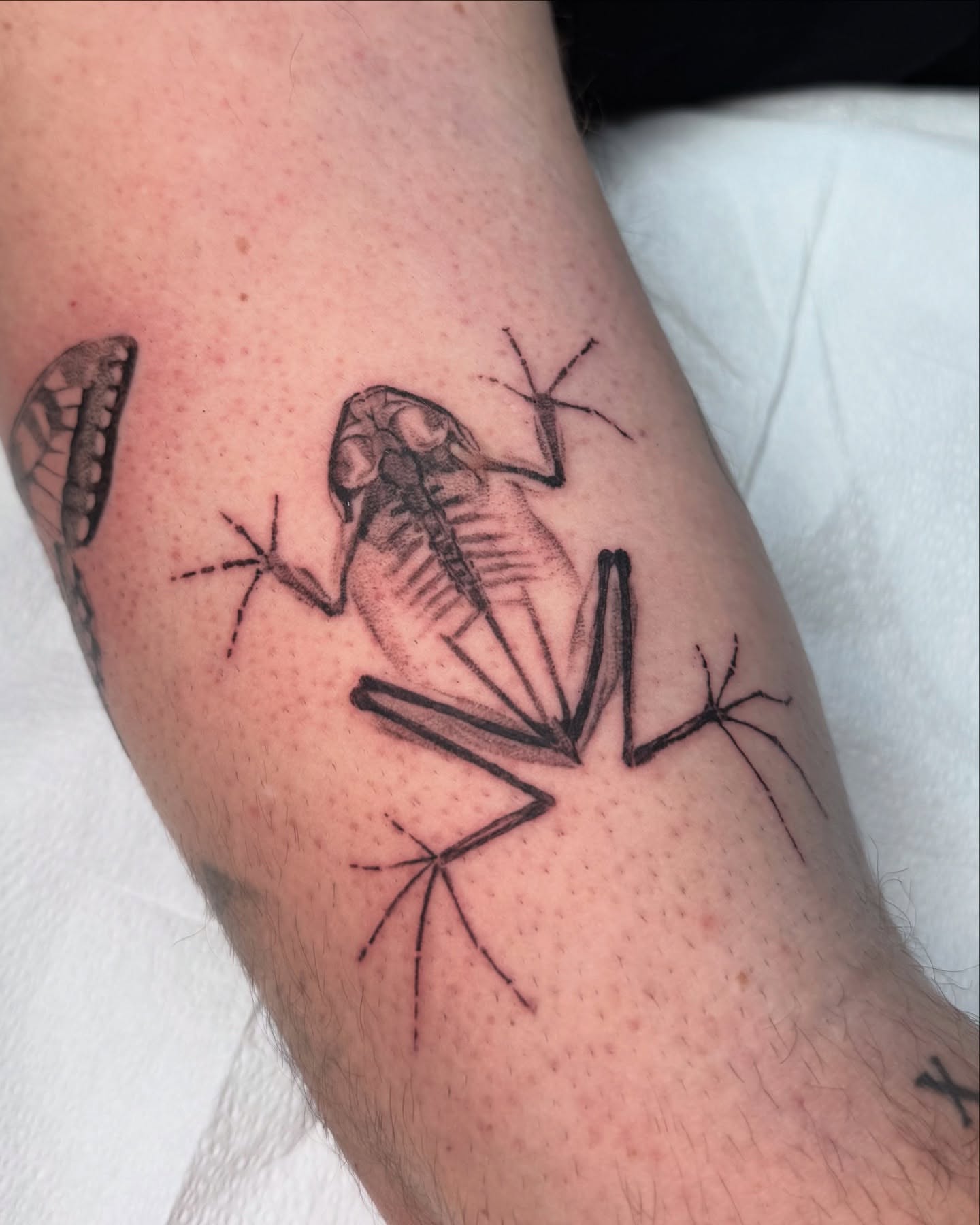 Frog skeleton black and grey tattoo on the forearm by Truett Payton