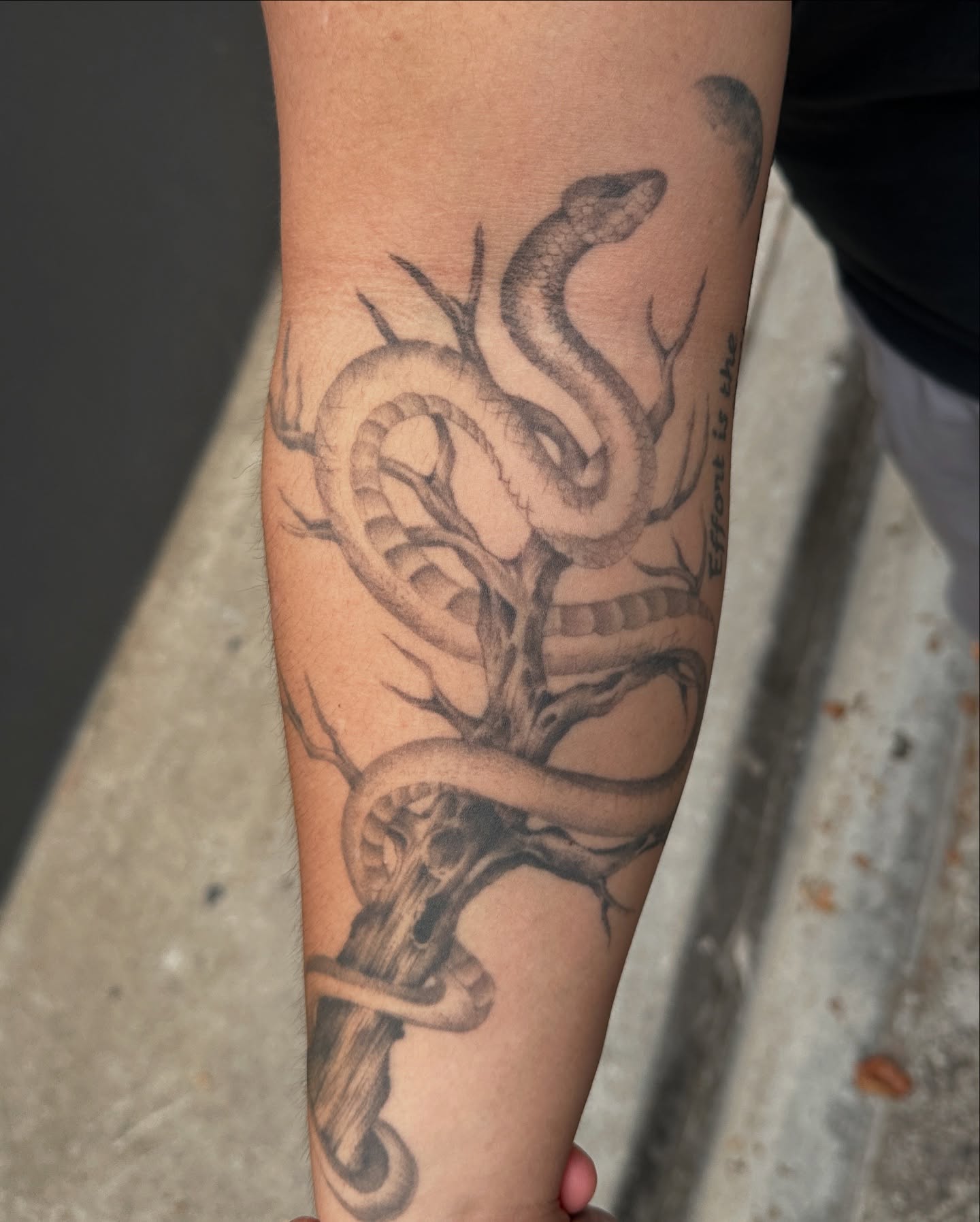 Snake and dagger realism tattoo on the forearm by 두식