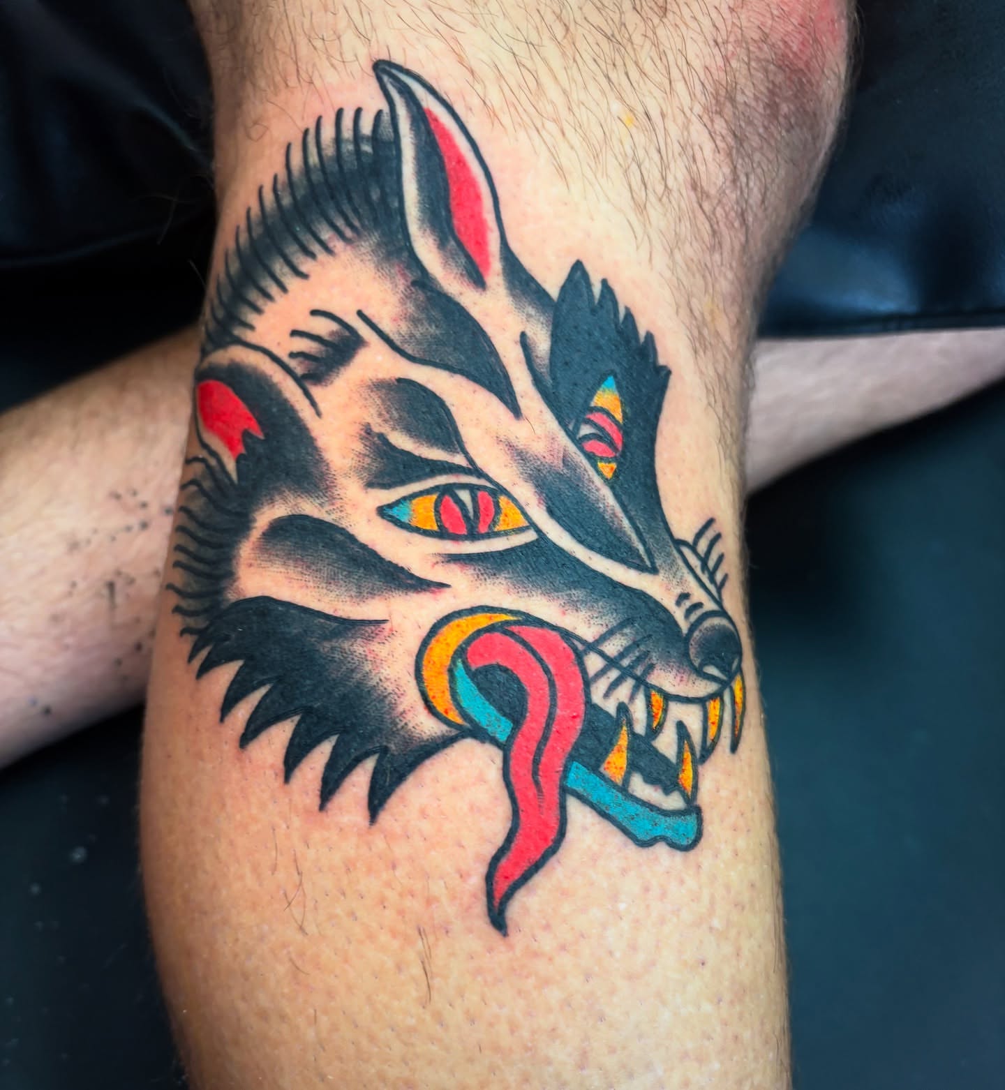 Wolf head American traditional tattoo on the forearm by adamsayre, San Diego, California