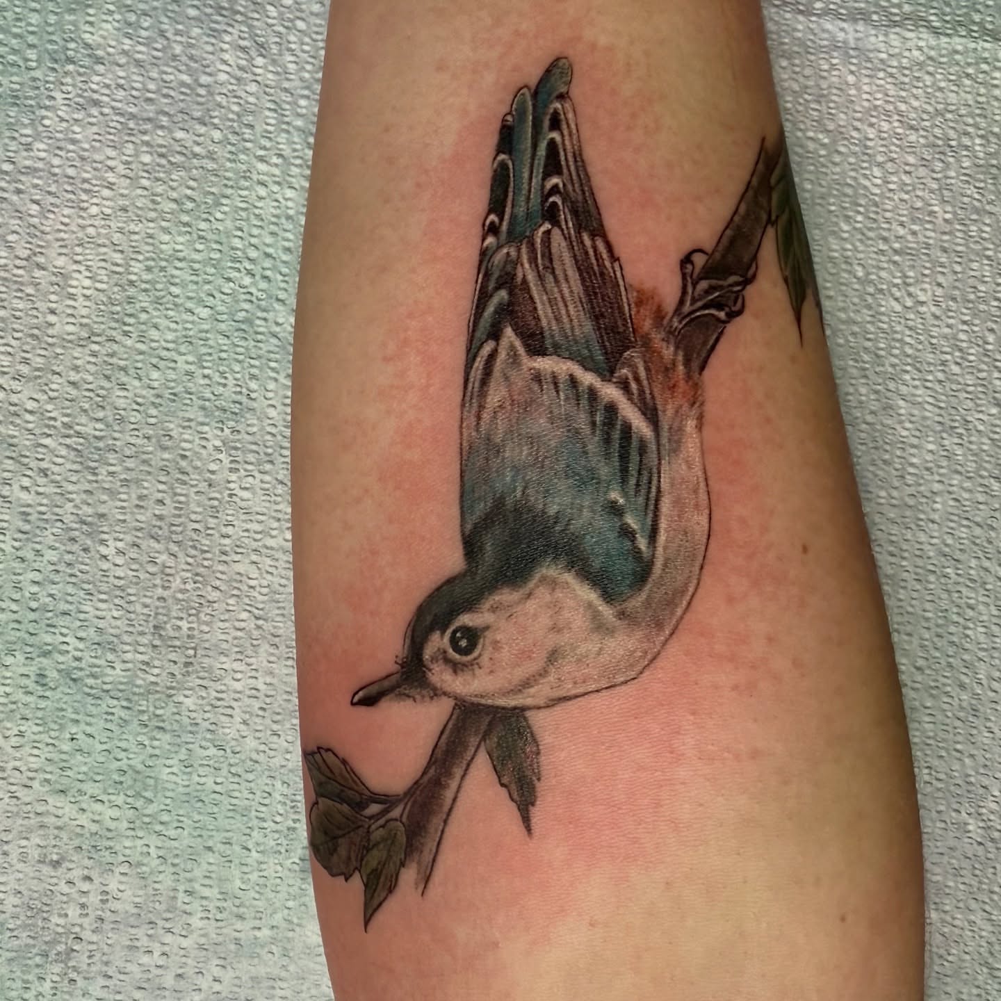 Tattoo by @kendraedgellart — realism