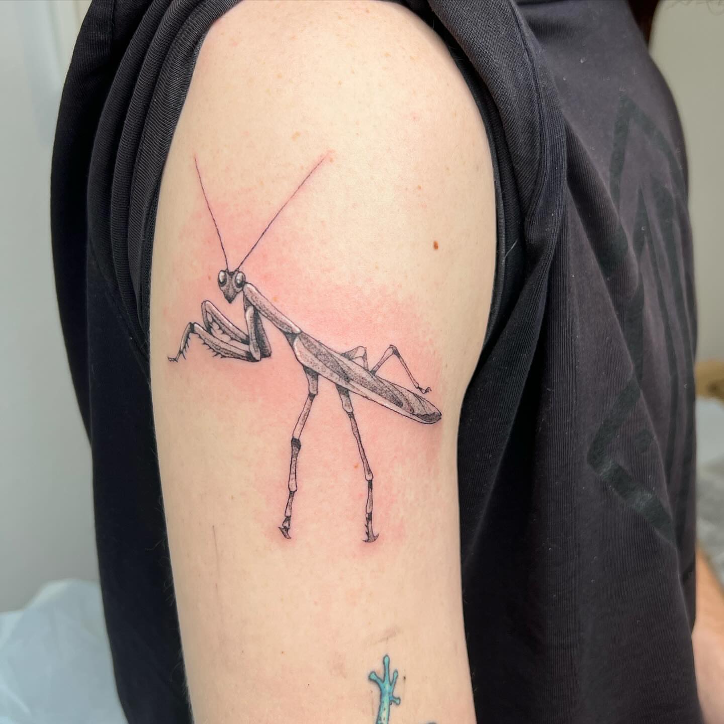 Praying mantis realism tattoo on the shoulder by sarah bug