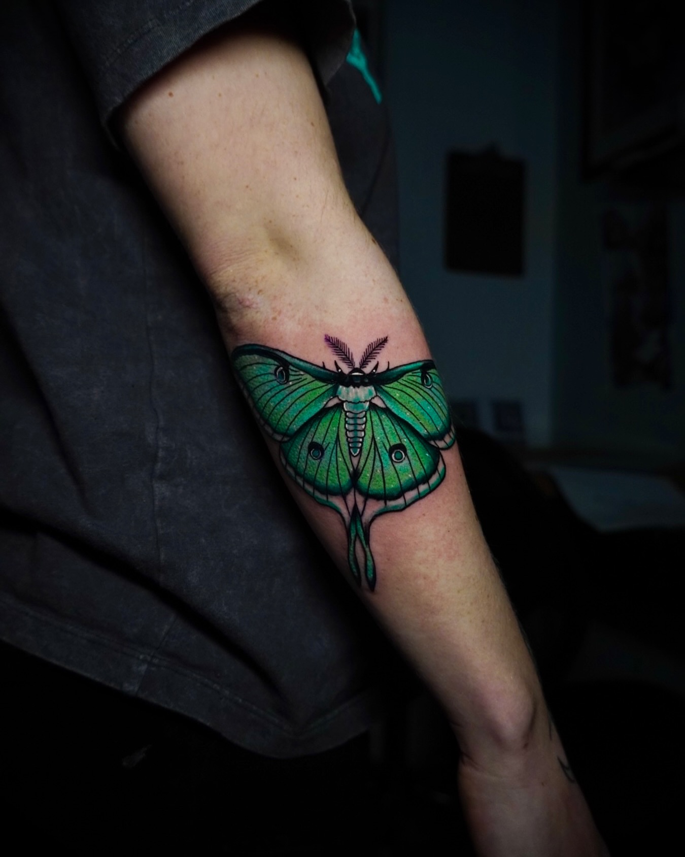 Moon moth realism tattoo on the forearm by Greg Petrali