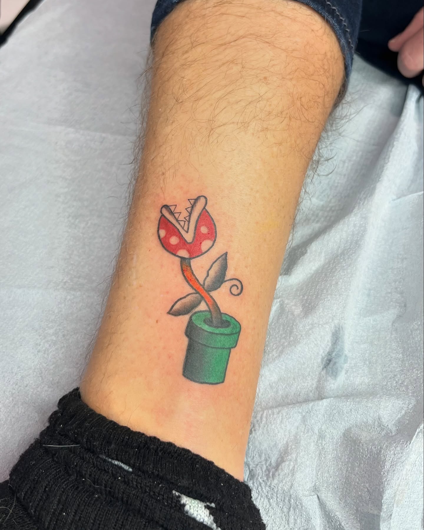 Flower pot plant new school tattoo on the forearm by Taylor Newton