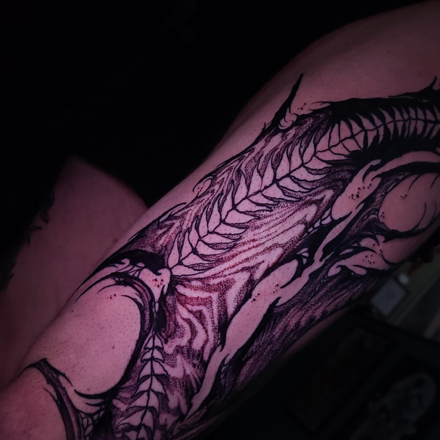 Tattoo by @boxofguts — dotwork